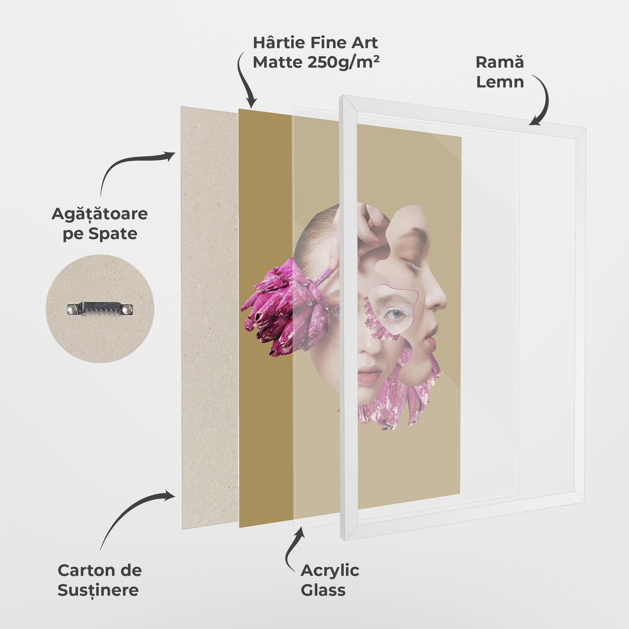 Poster Înrămat Abstract Combination Face mockup 1