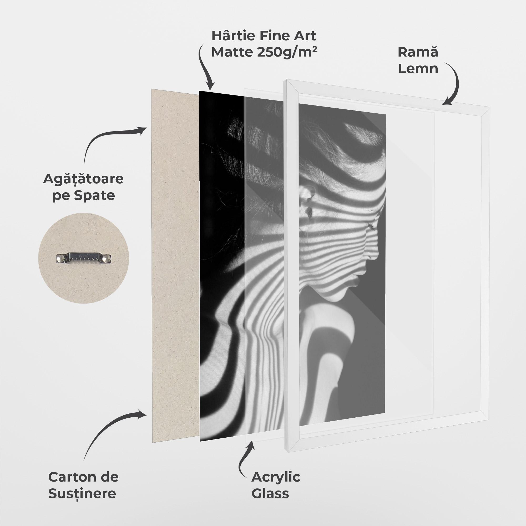 Poster Înrămat Zebra Stripes Woman mockup 1