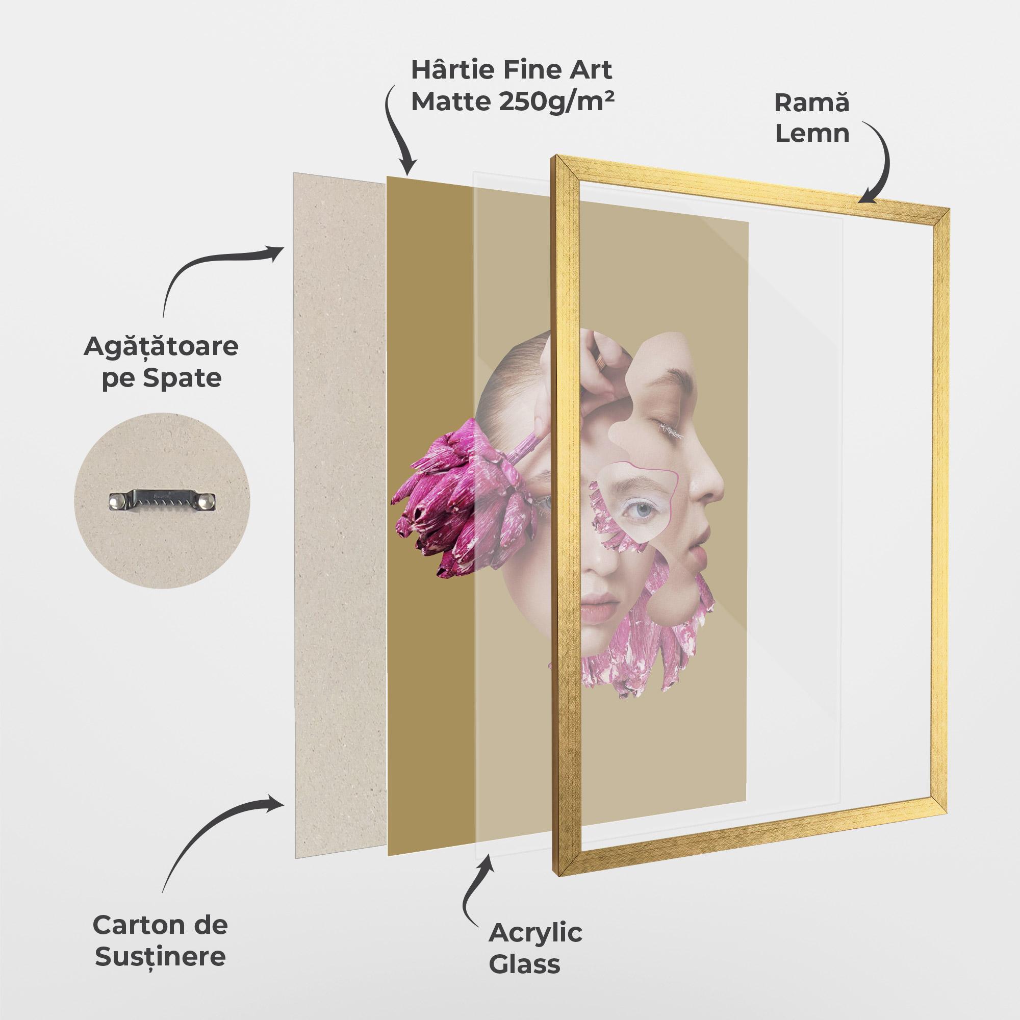 Poster Înrămat Abstract Combination Face mockup 1