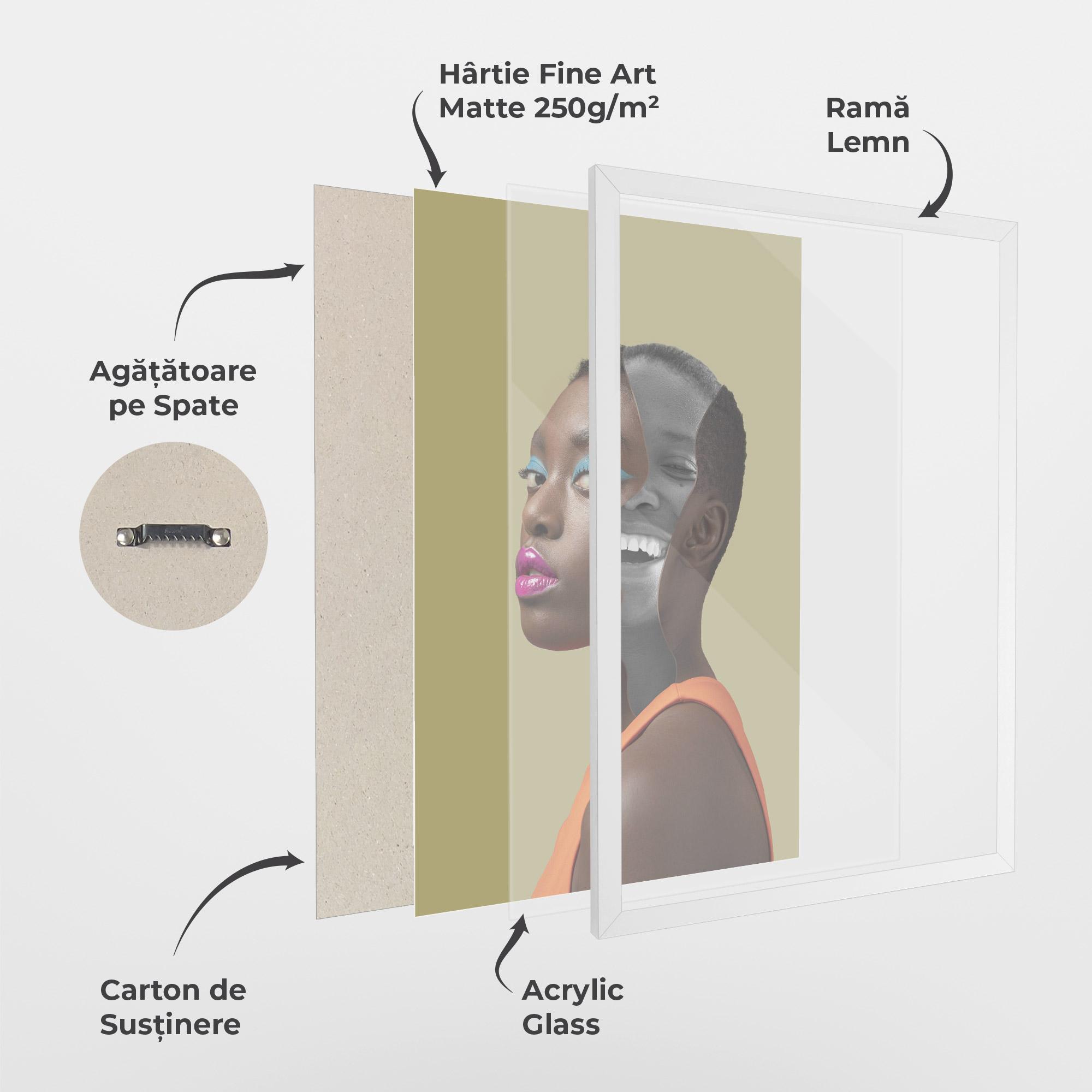 Poster Înrămat American Woman Collage mockup 1