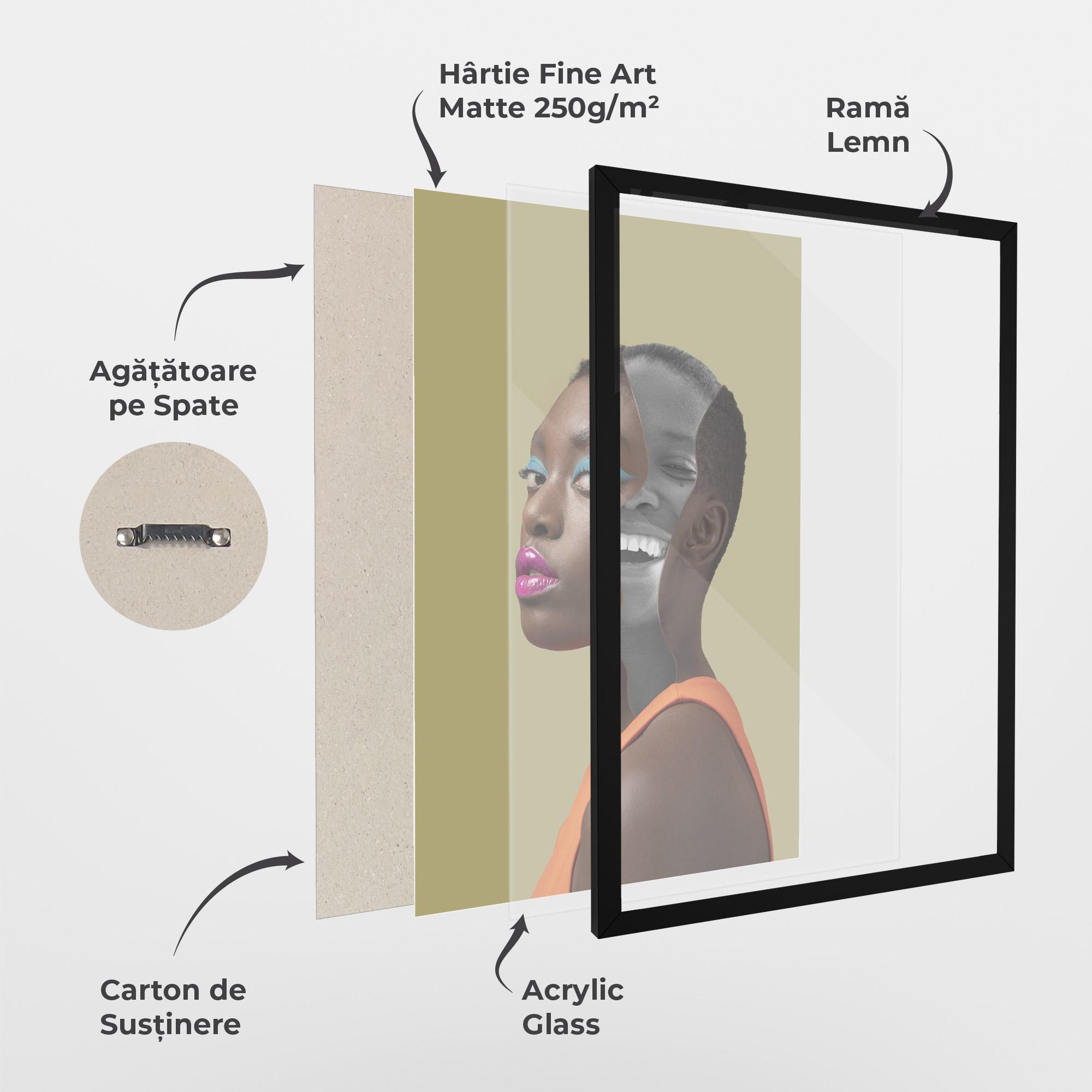 Poster Înrămat American Woman Collage mockup 1