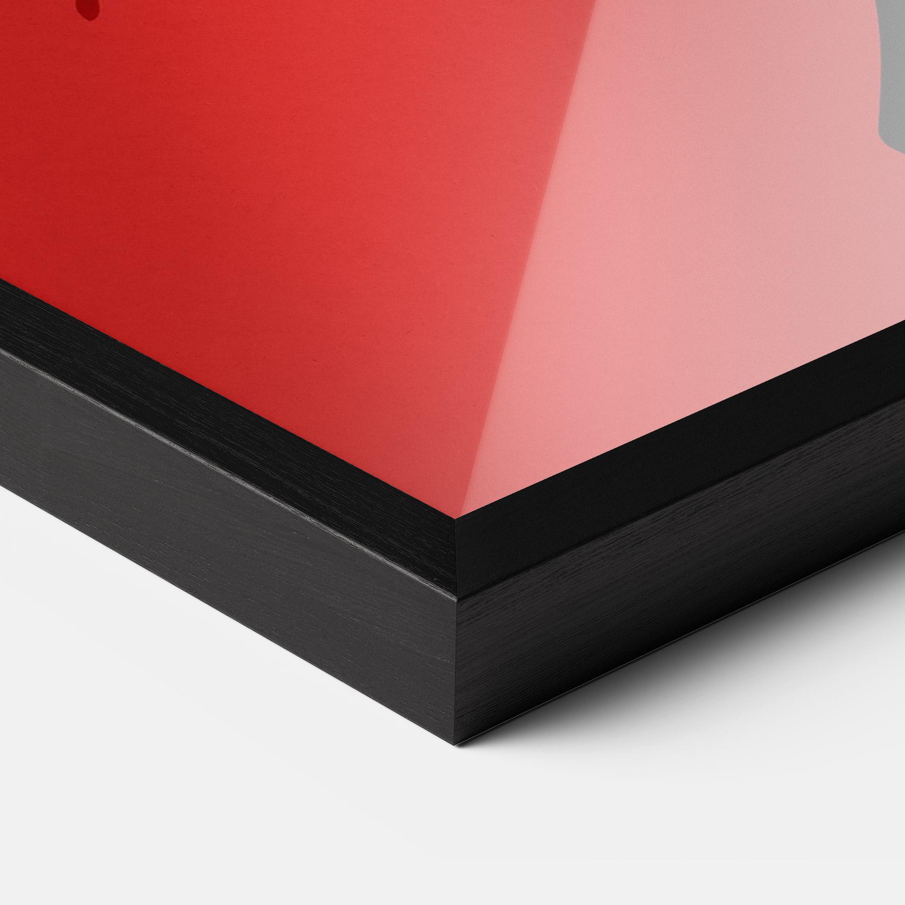 Poster Înrămat African Red Flower mockup 3