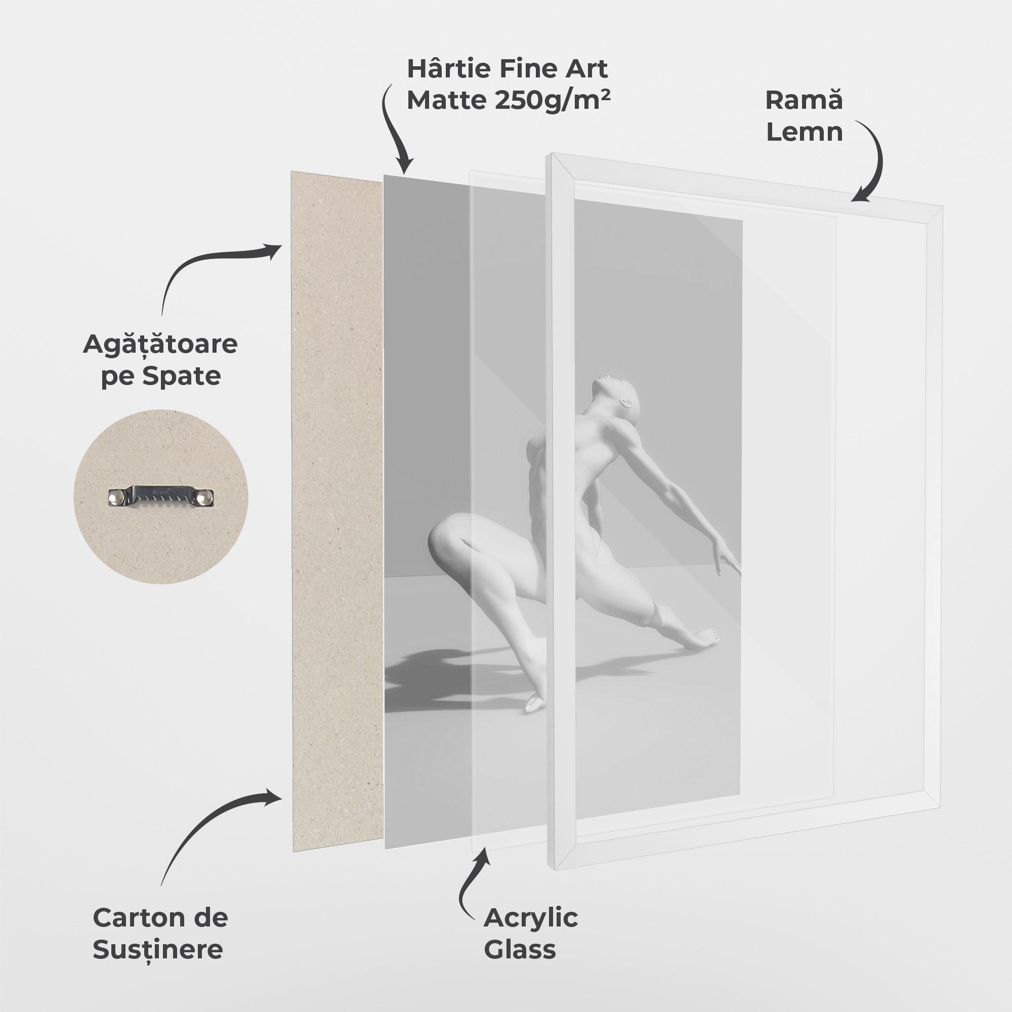 Poster Înrămat 3d Ballet Pose mockup 1