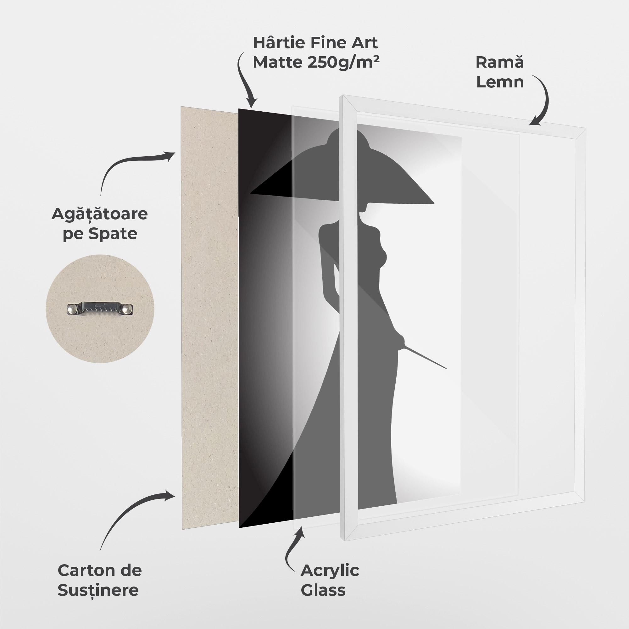 Poster Înrămat Big Hat Lady mockup 1