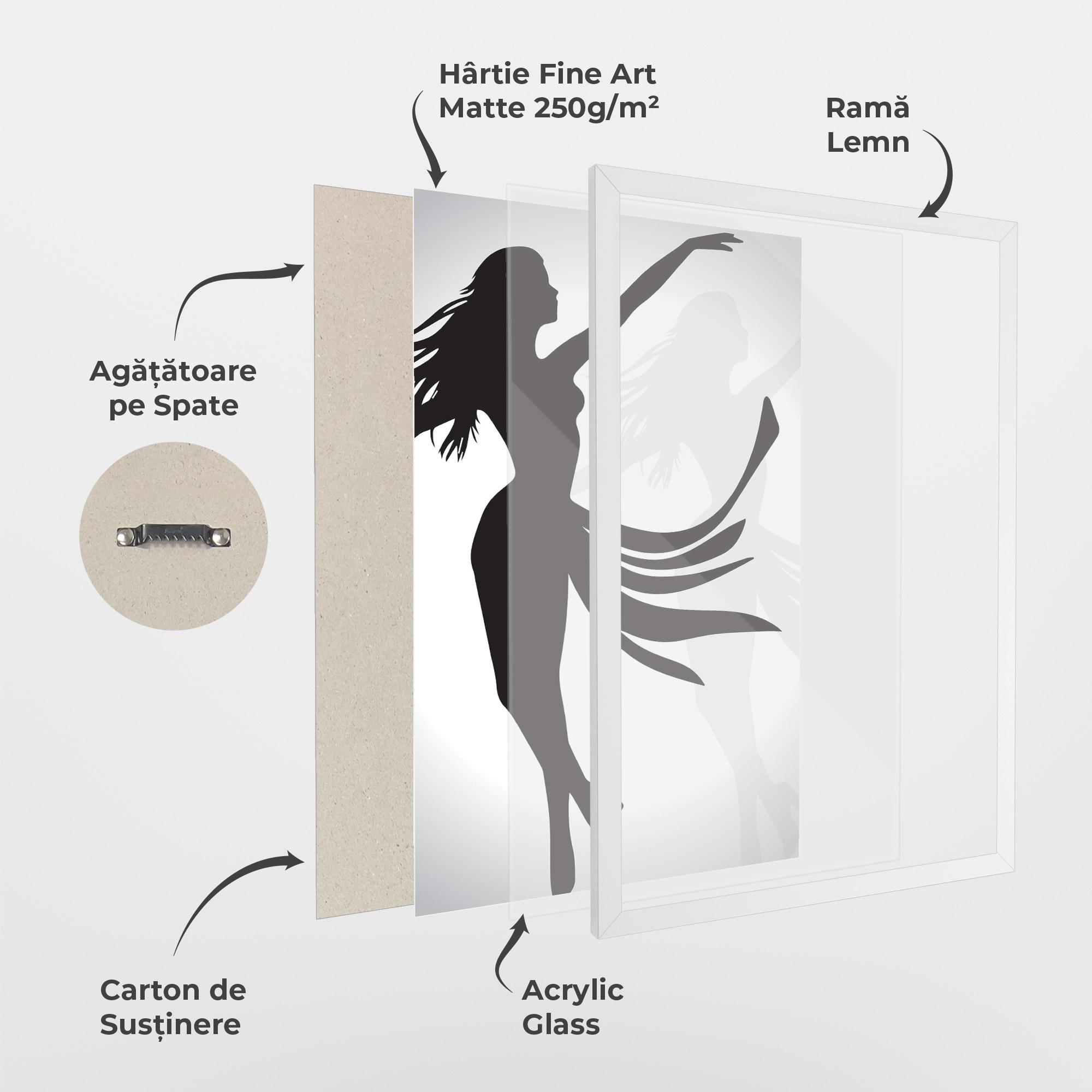 Poster Înrămat Dance Shilouette mockup 1