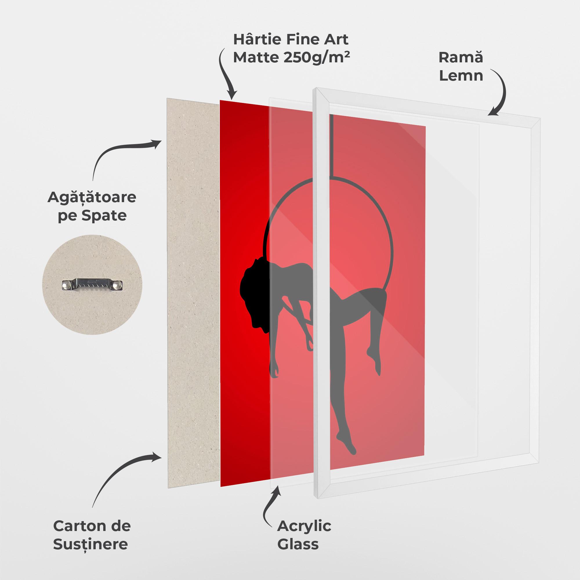 Poster Înrămat Dancer Shilouette mockup 1