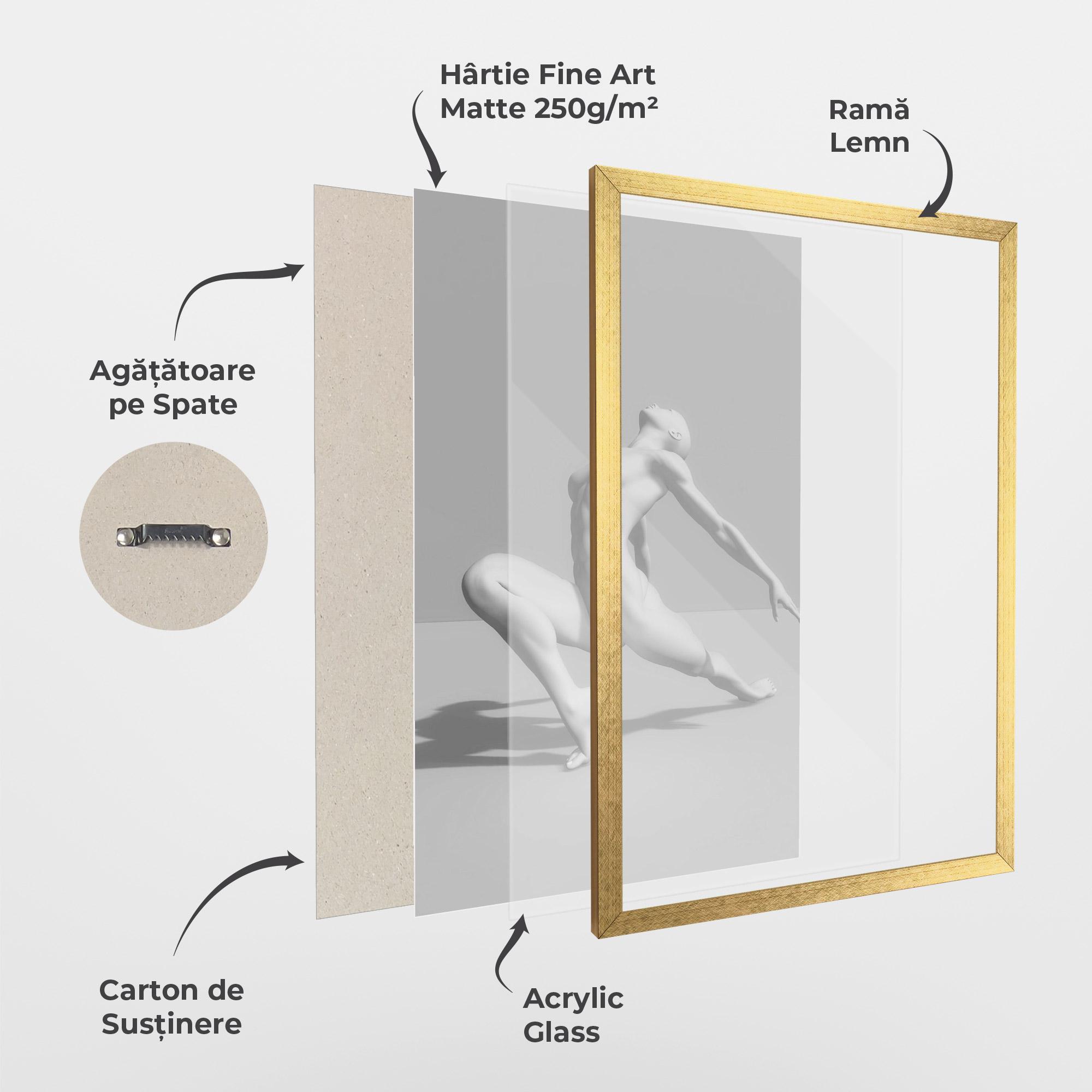 Poster Înrămat 3d Ballet Pose mockup 1