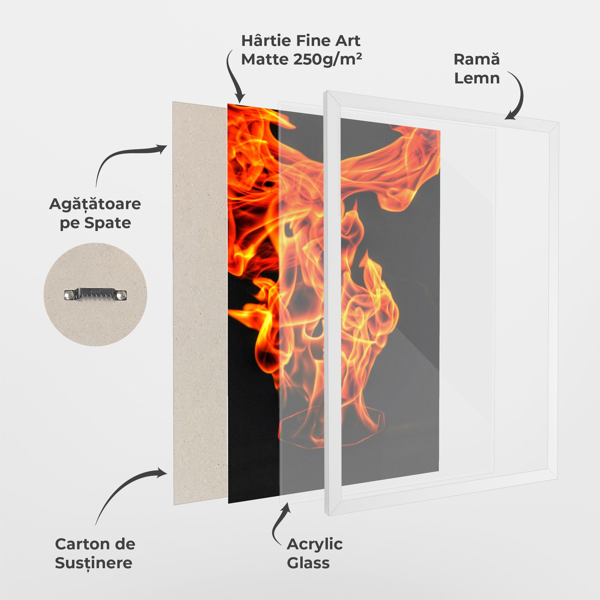 Poster Înrămat Phoenix Heat Dance mockup 1