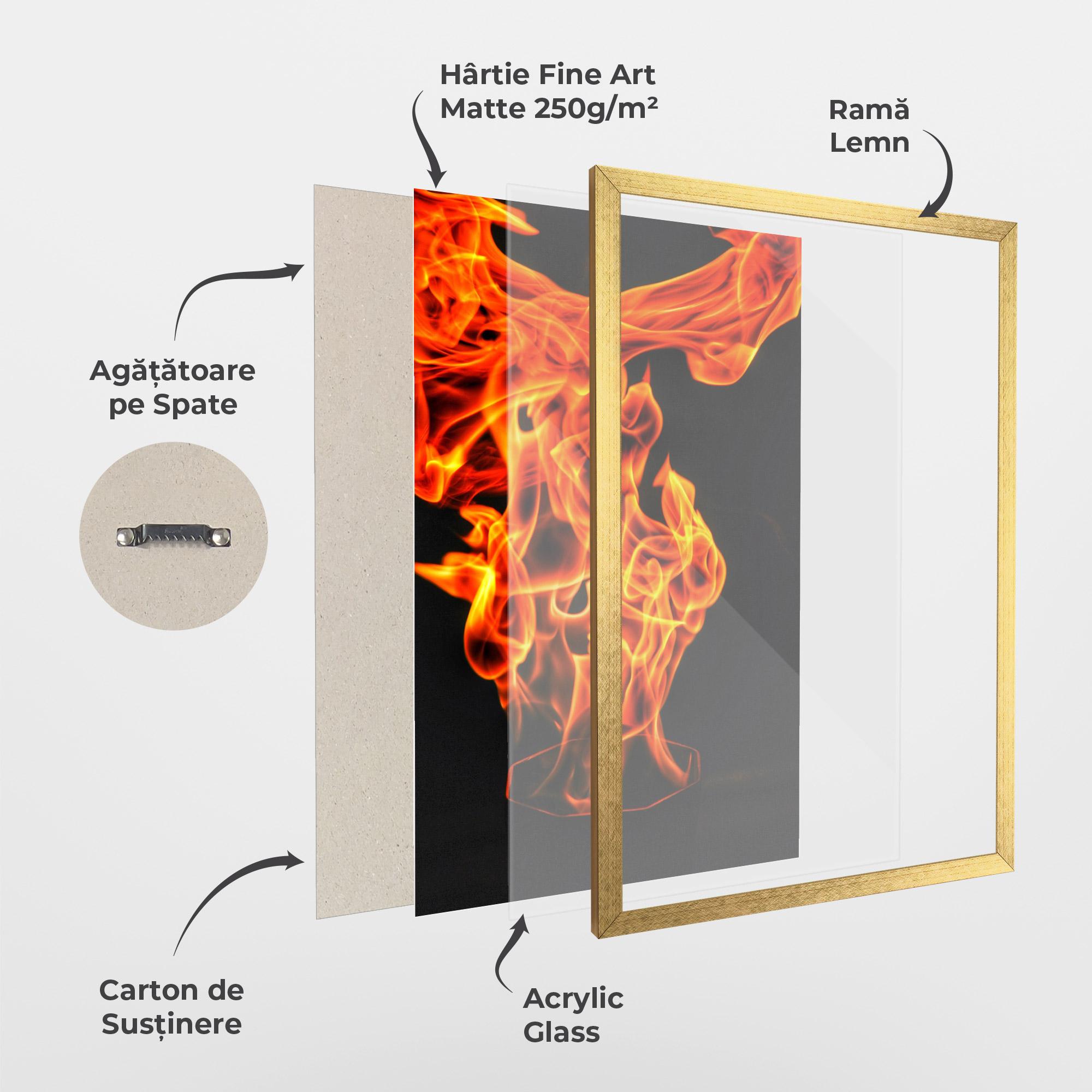 Poster Înrămat Phoenix Heat Dance mockup 1