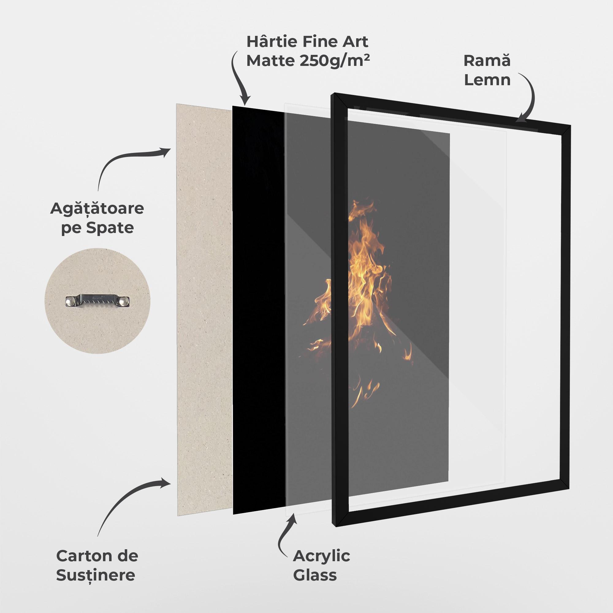 Poster Înrămat Shadow Fire mockup 1