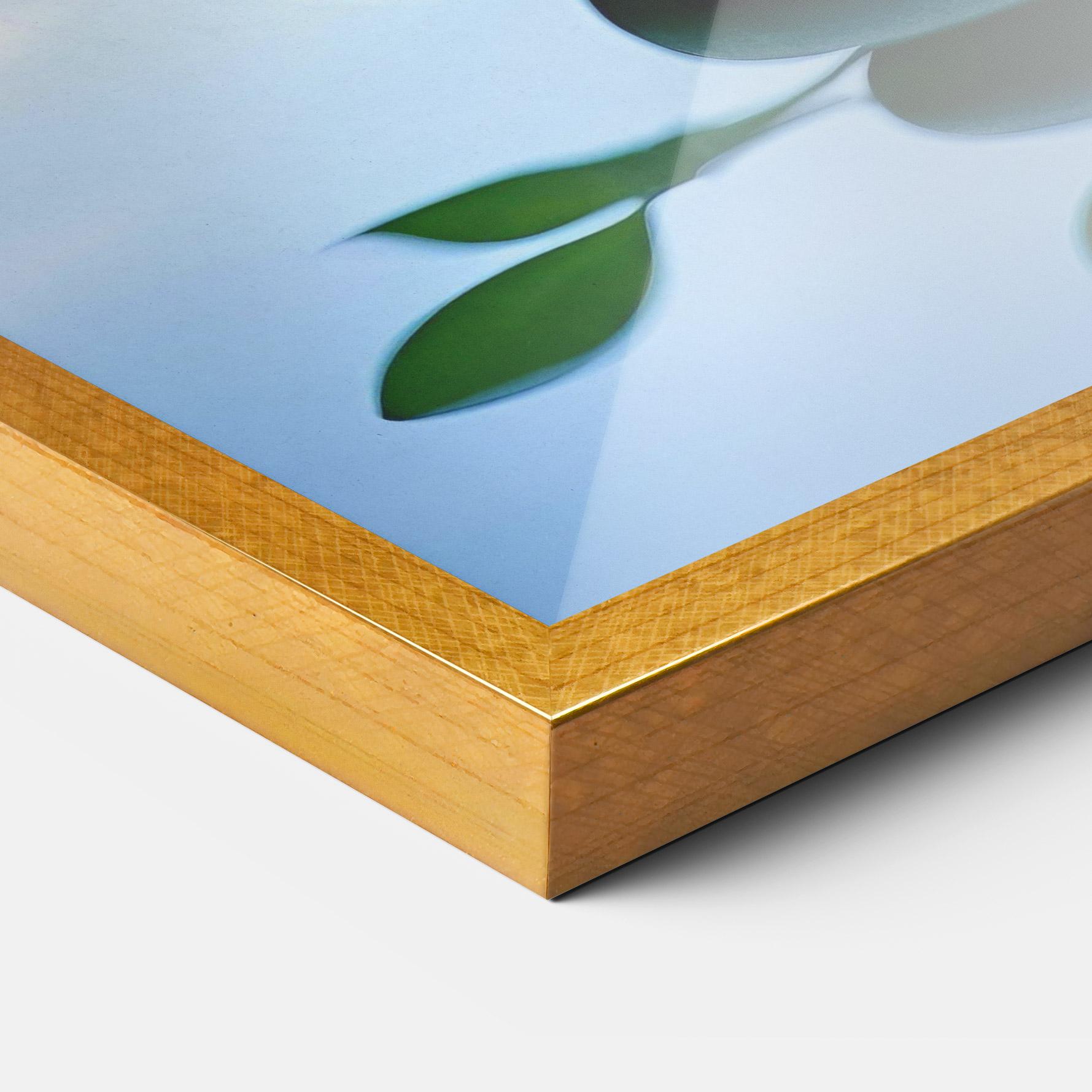 Poster Înrămat Stones Green Leaves mockup 3