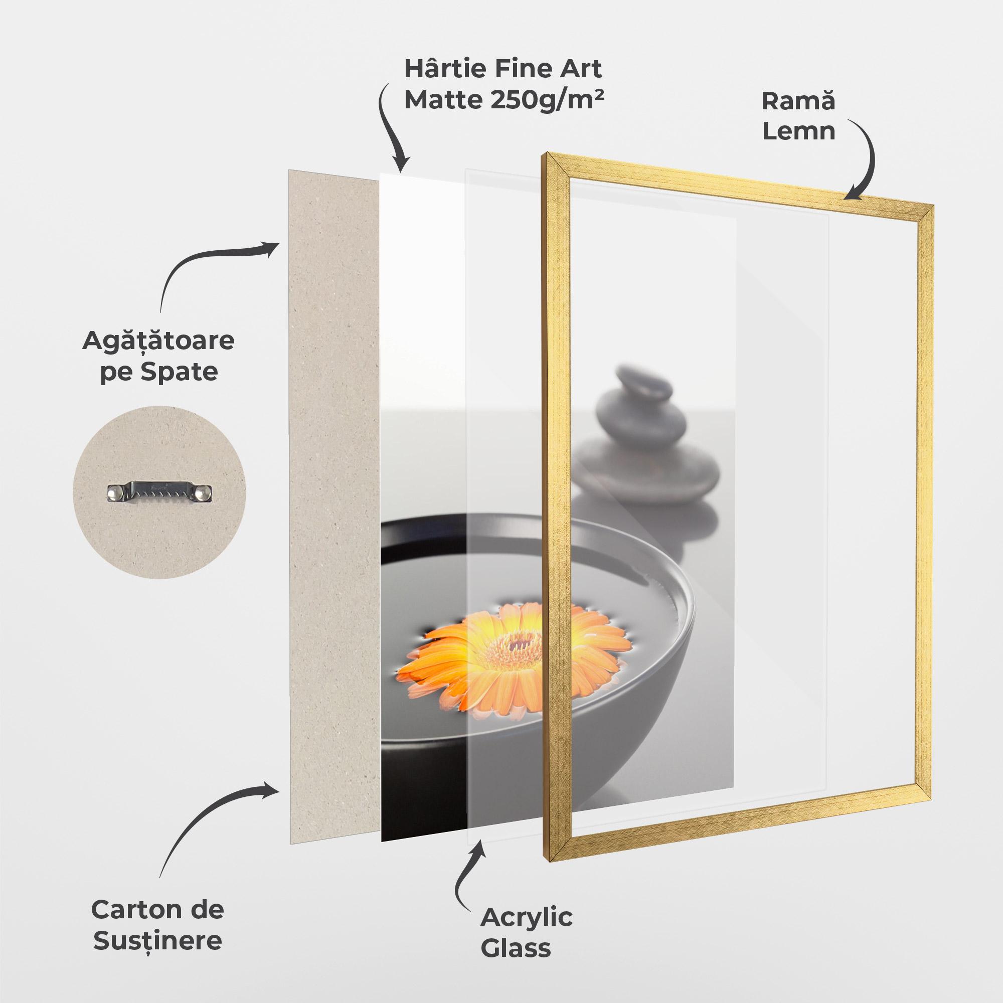 Poster Înrămat Stone Orange Flower mockup 1