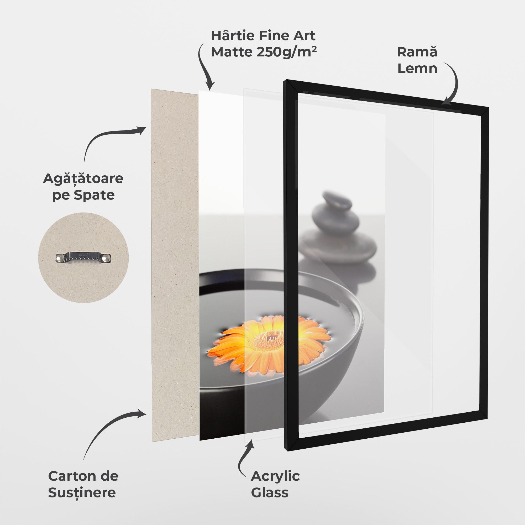 Poster Înrămat Stone Orange Flower mockup 1