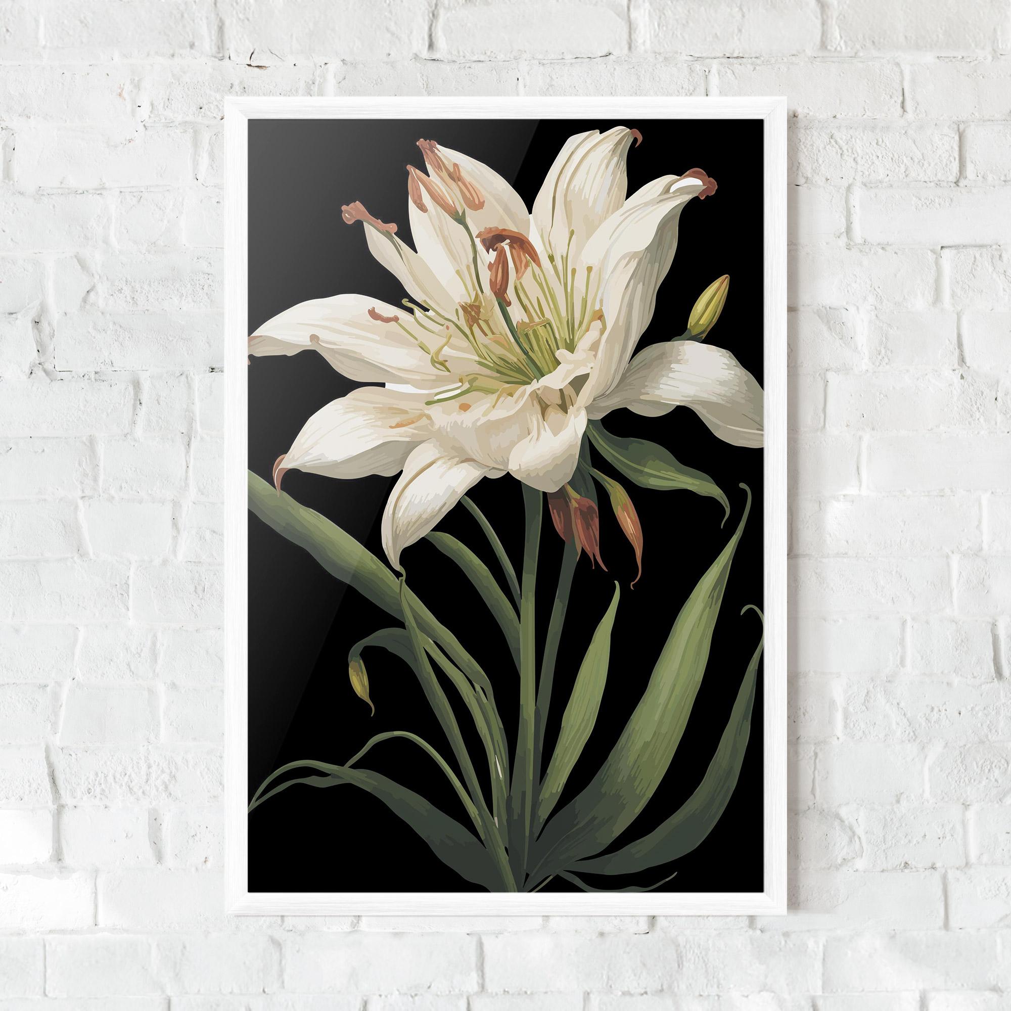 Poster Înrămat Columbia White Lily mockup 0