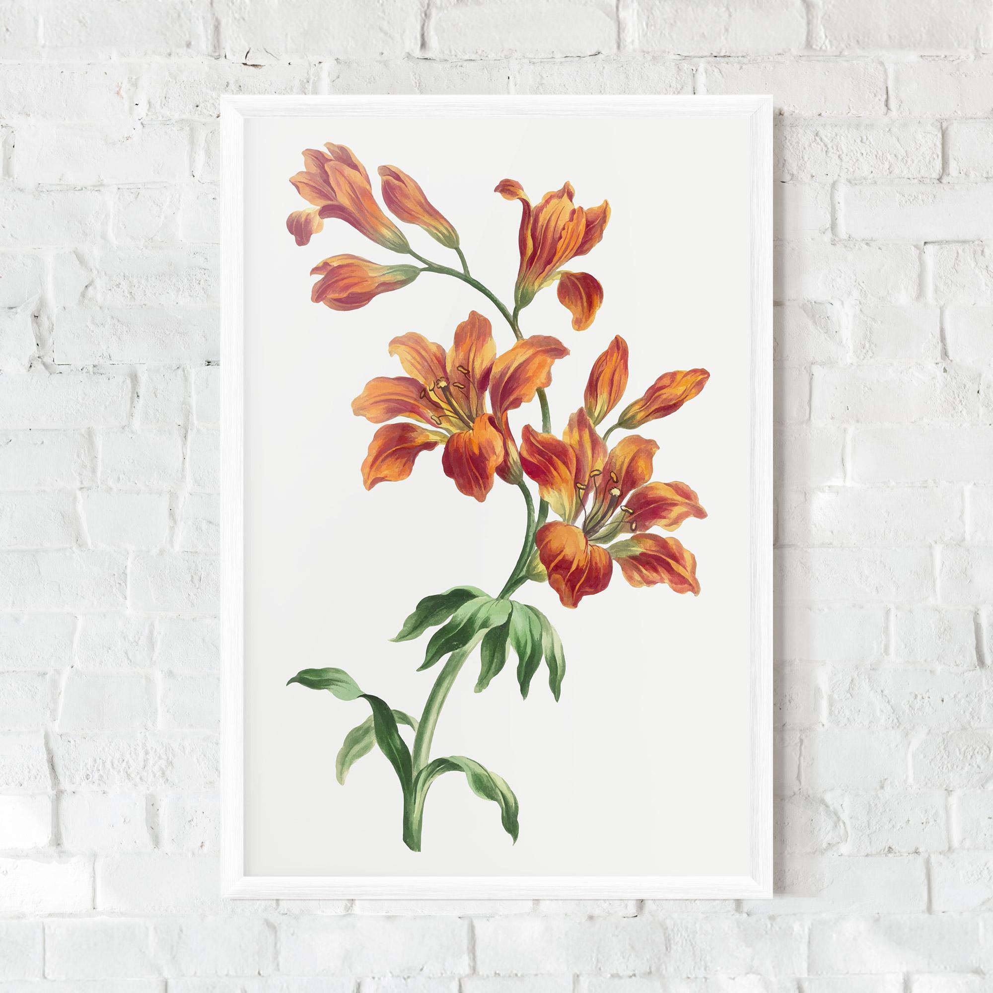 Poster Înrămat Orange Painted Lily mockup 0