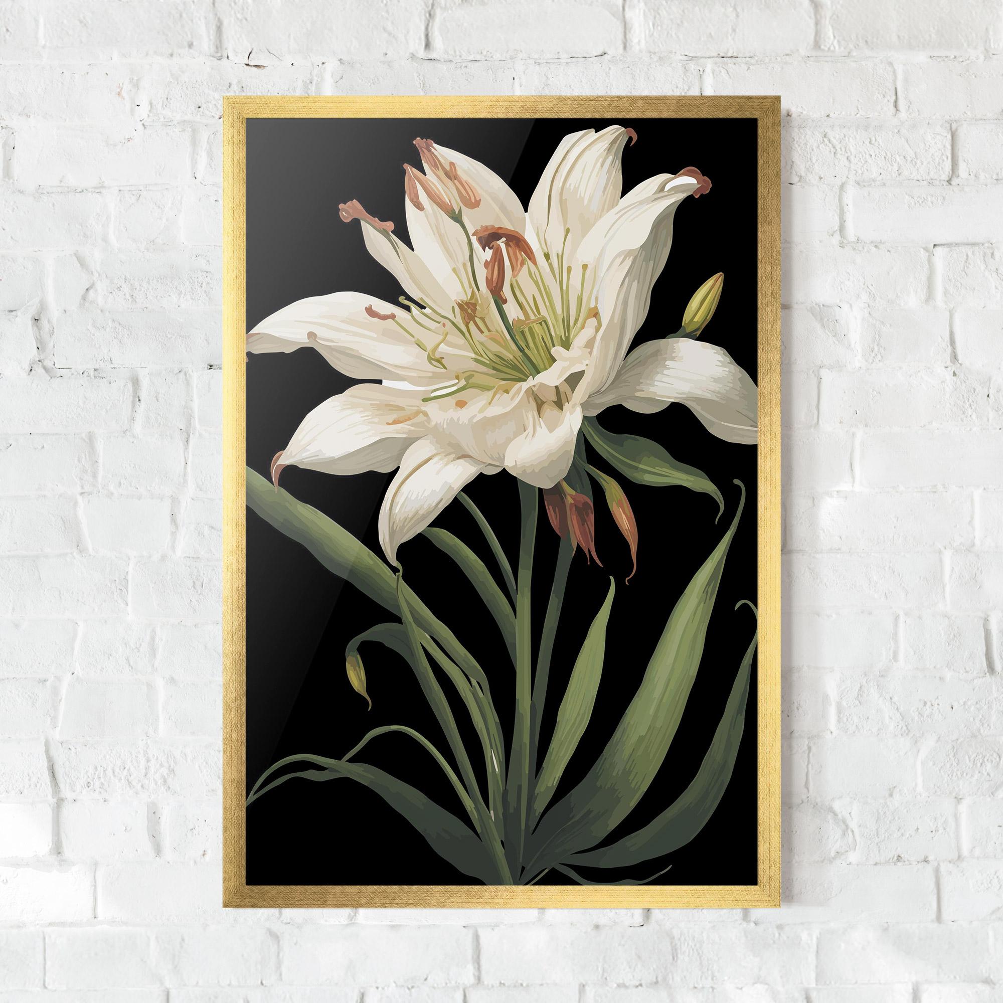Poster Înrămat Columbia White Lily mockup 0
