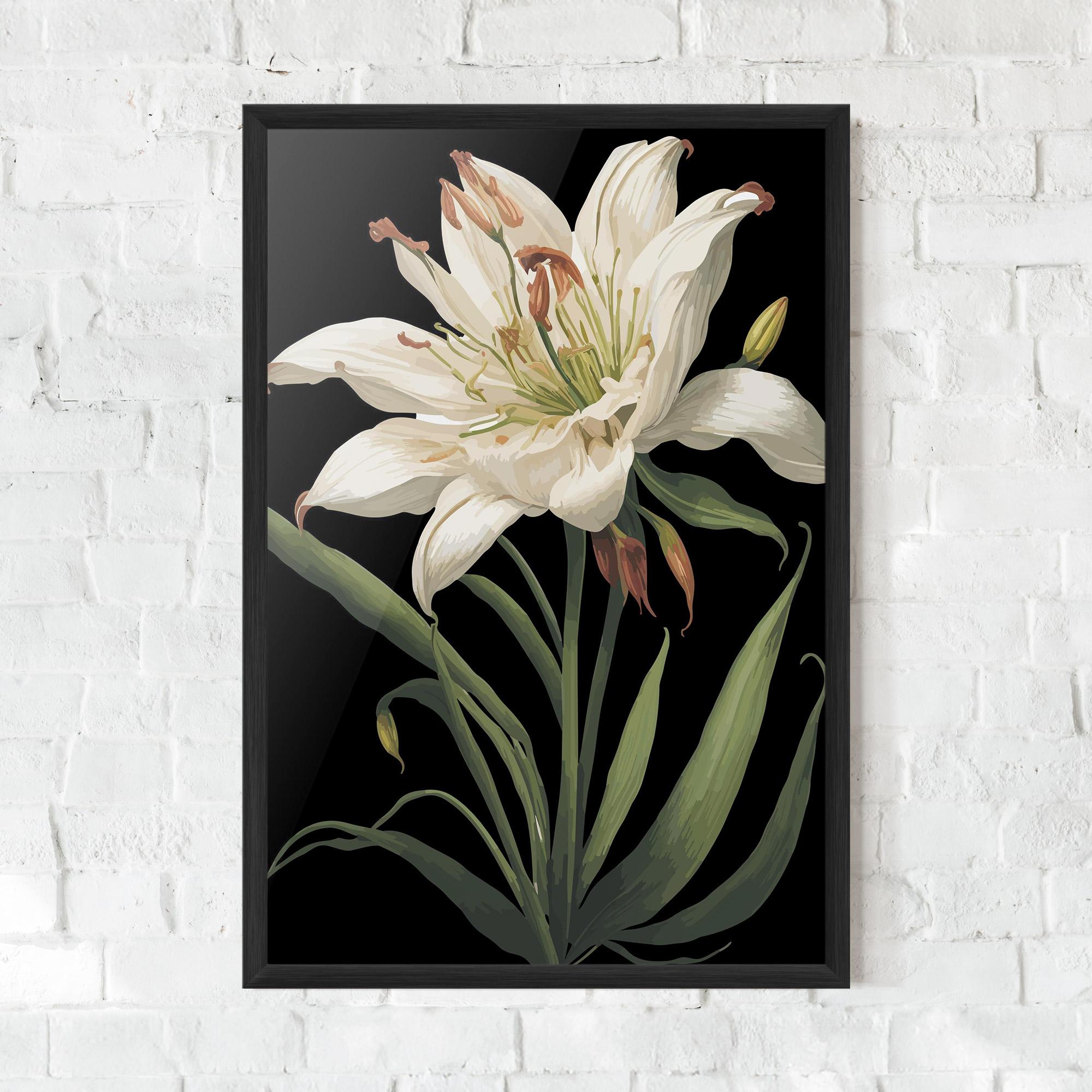 Poster Înrămat Columbia White Lily mockup 0