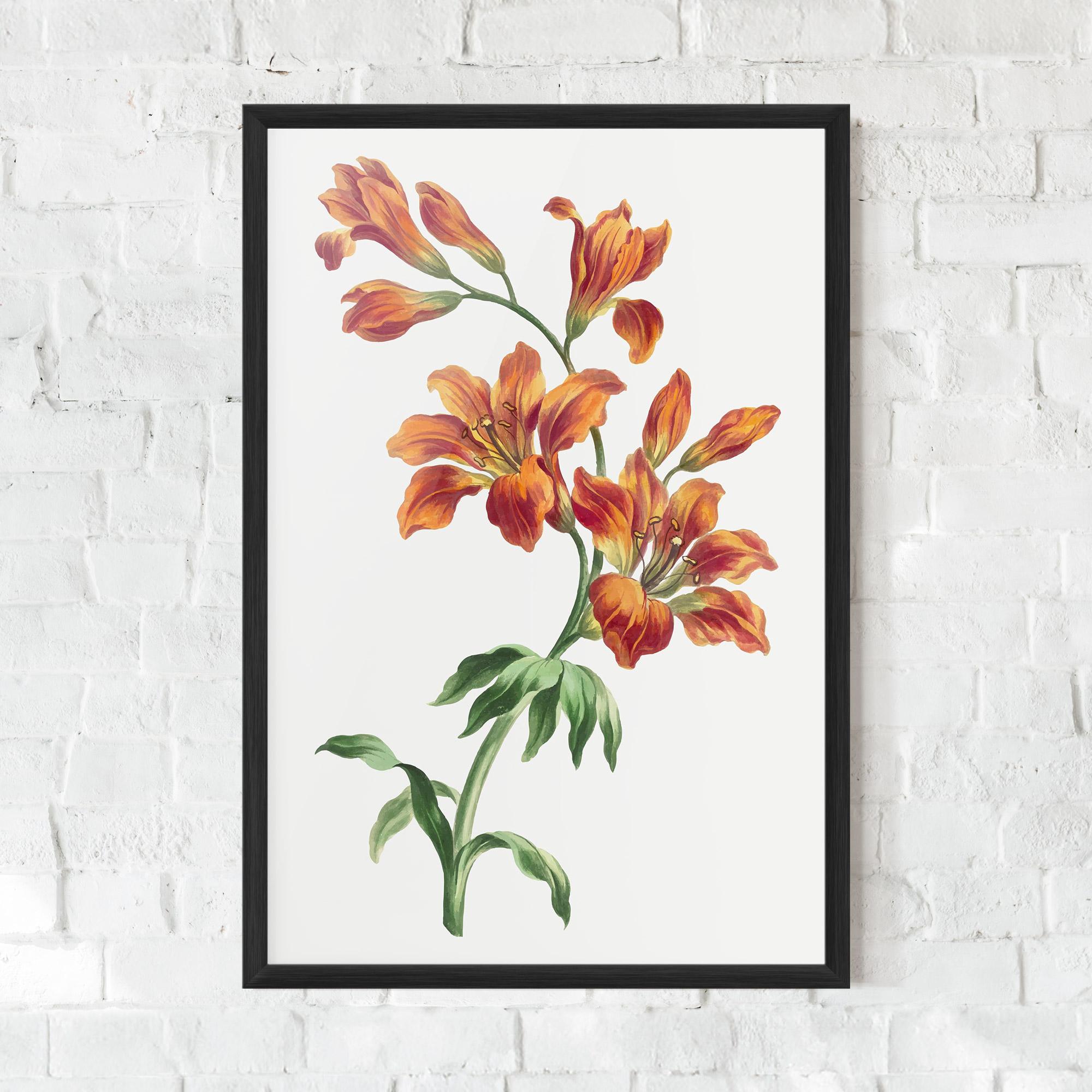 Poster Înrămat Orange Painted Lily mockup 0