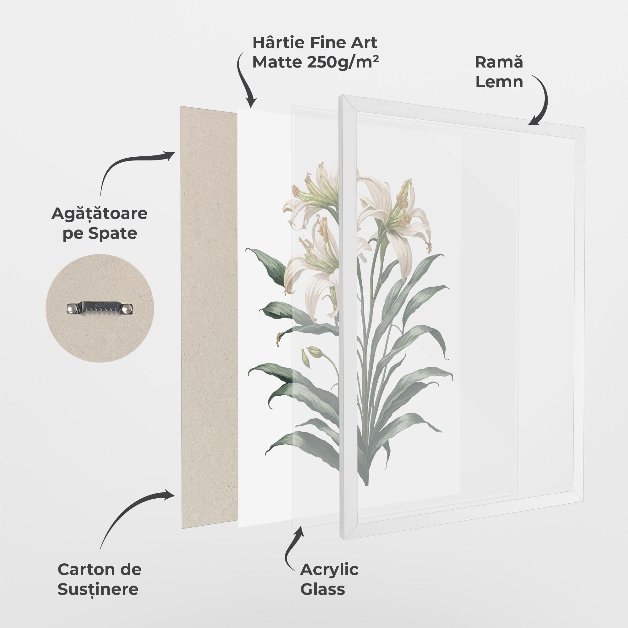 Poster Înrămat Columbia Lily mockup 1