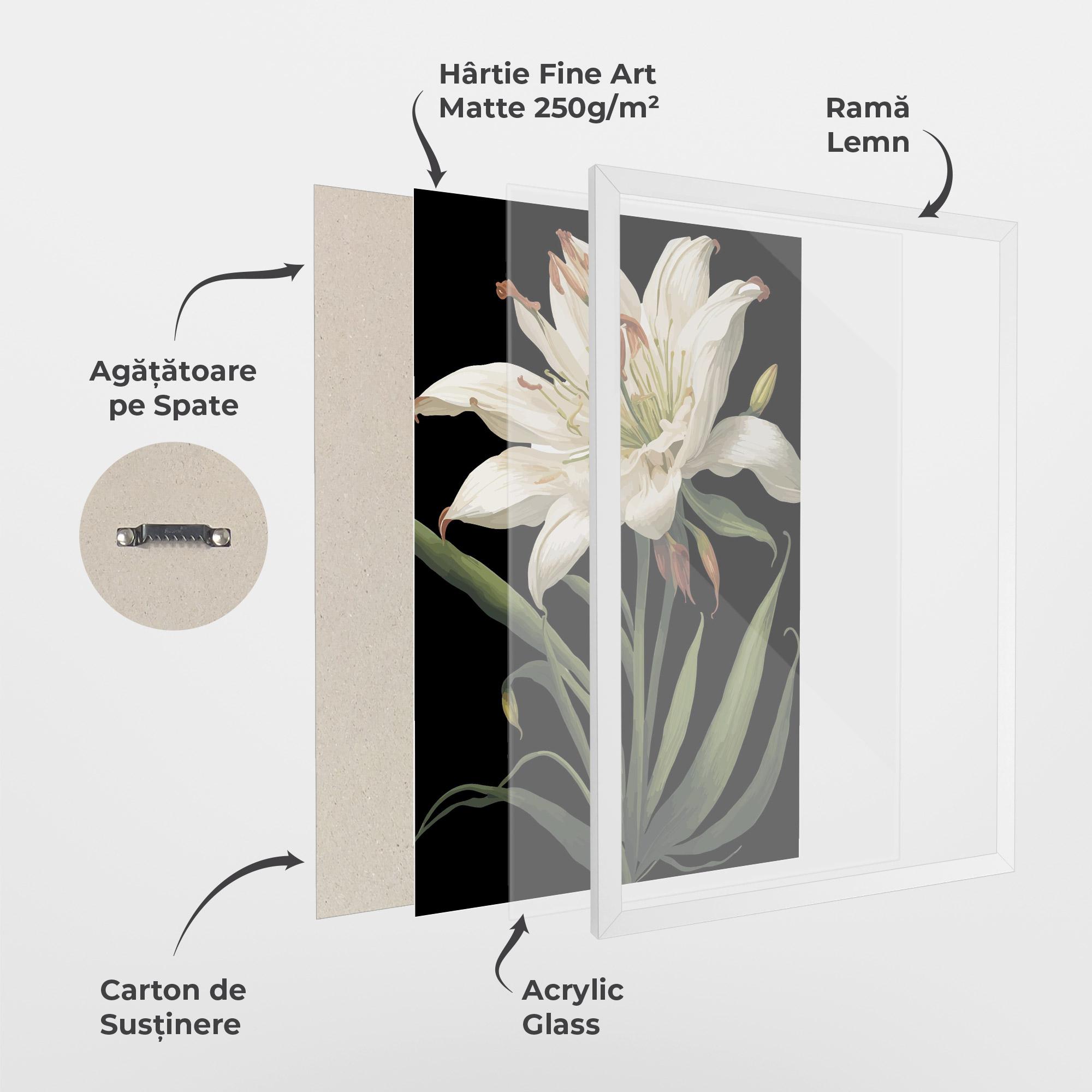 Poster Înrămat Columbia White Lily mockup 1