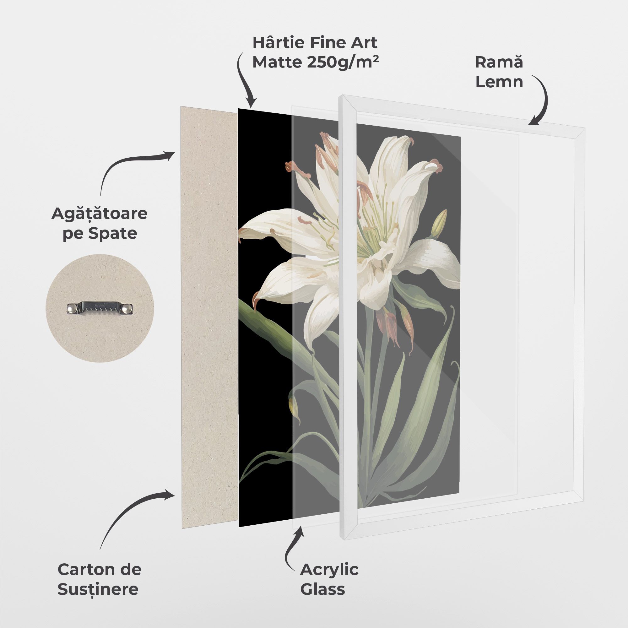Columbia White Lily mockup 1