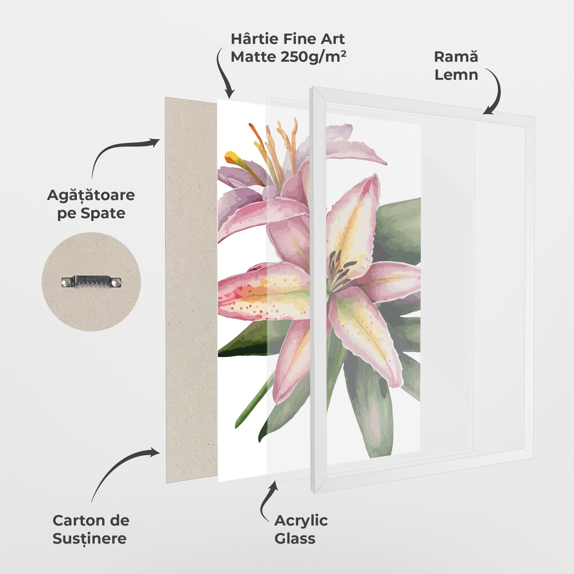 Lily Pretty Pink mockup 1