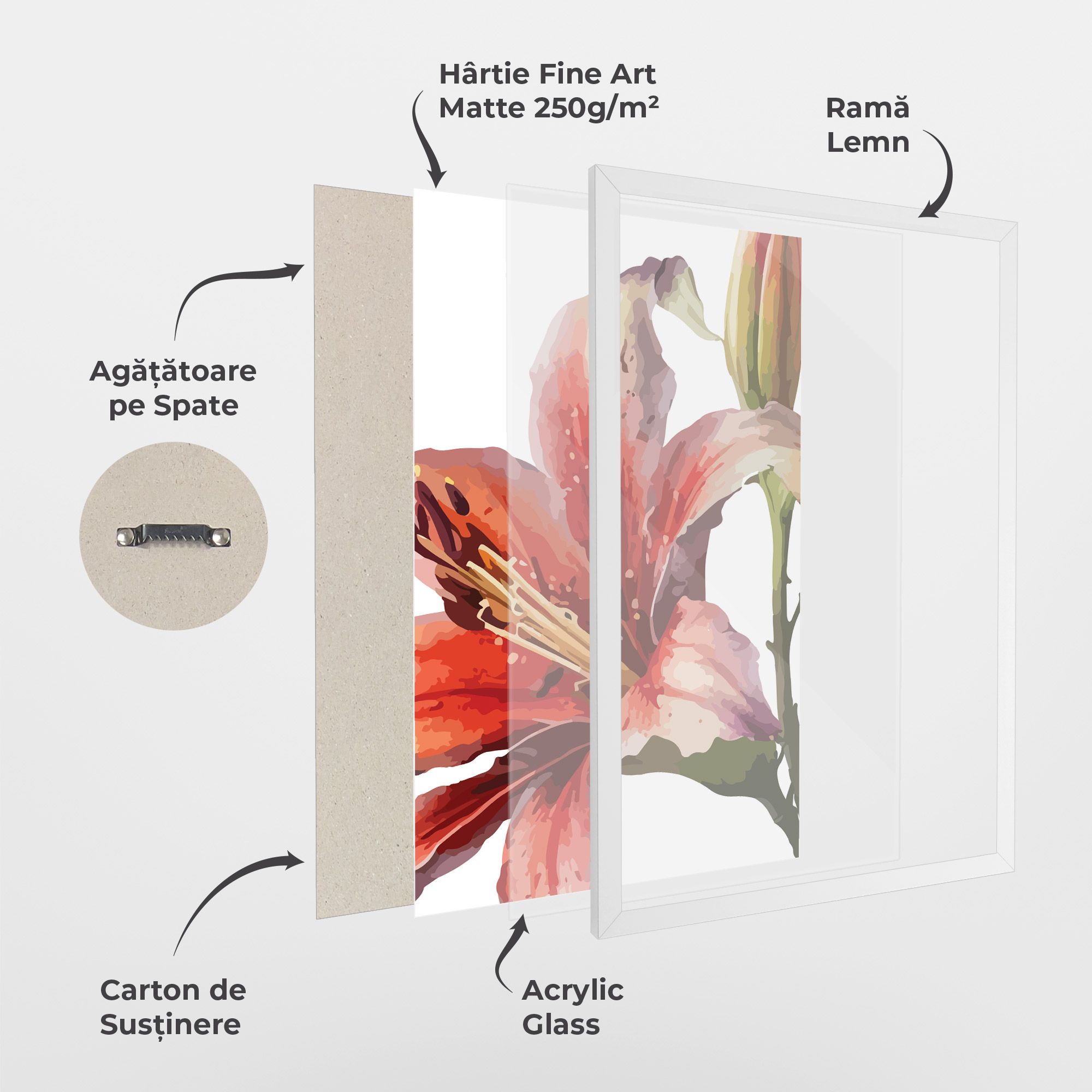 Pretty Red Purple Lily mockup 1