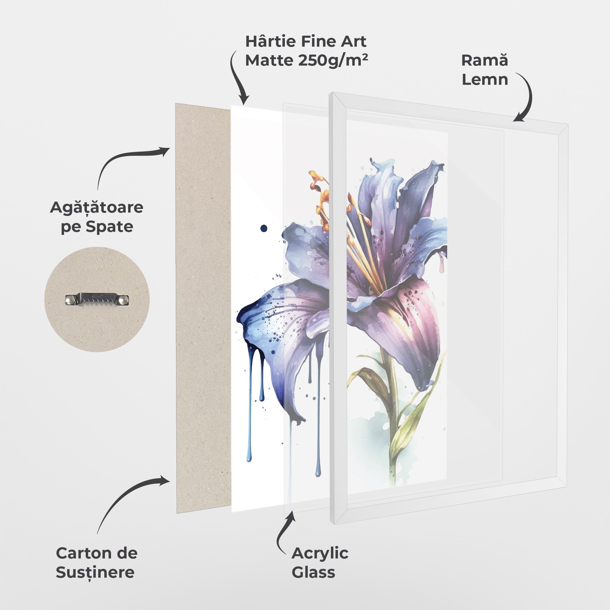 Purple Orange Lily mockup 1