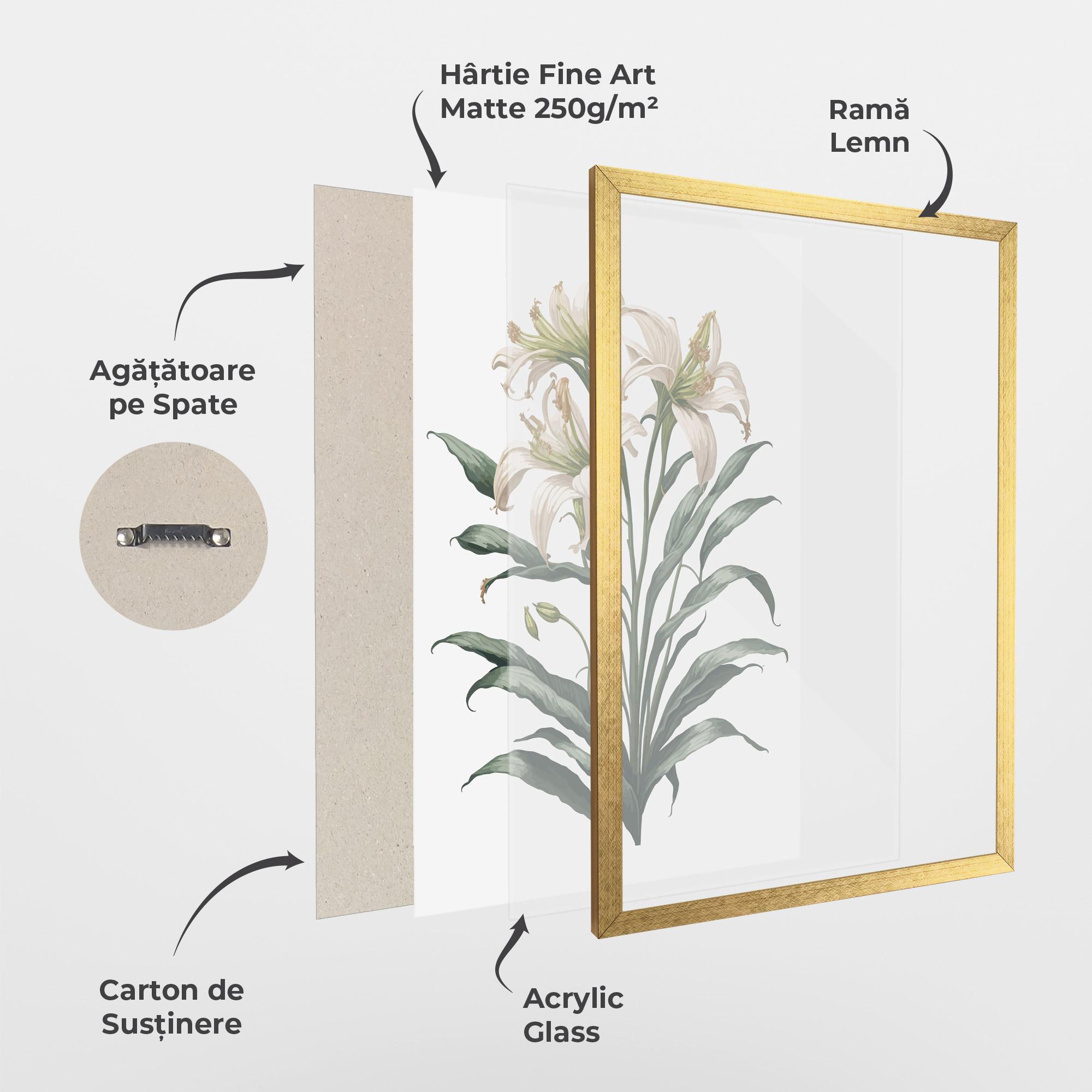 Poster Înrămat Columbia Lily mockup 1