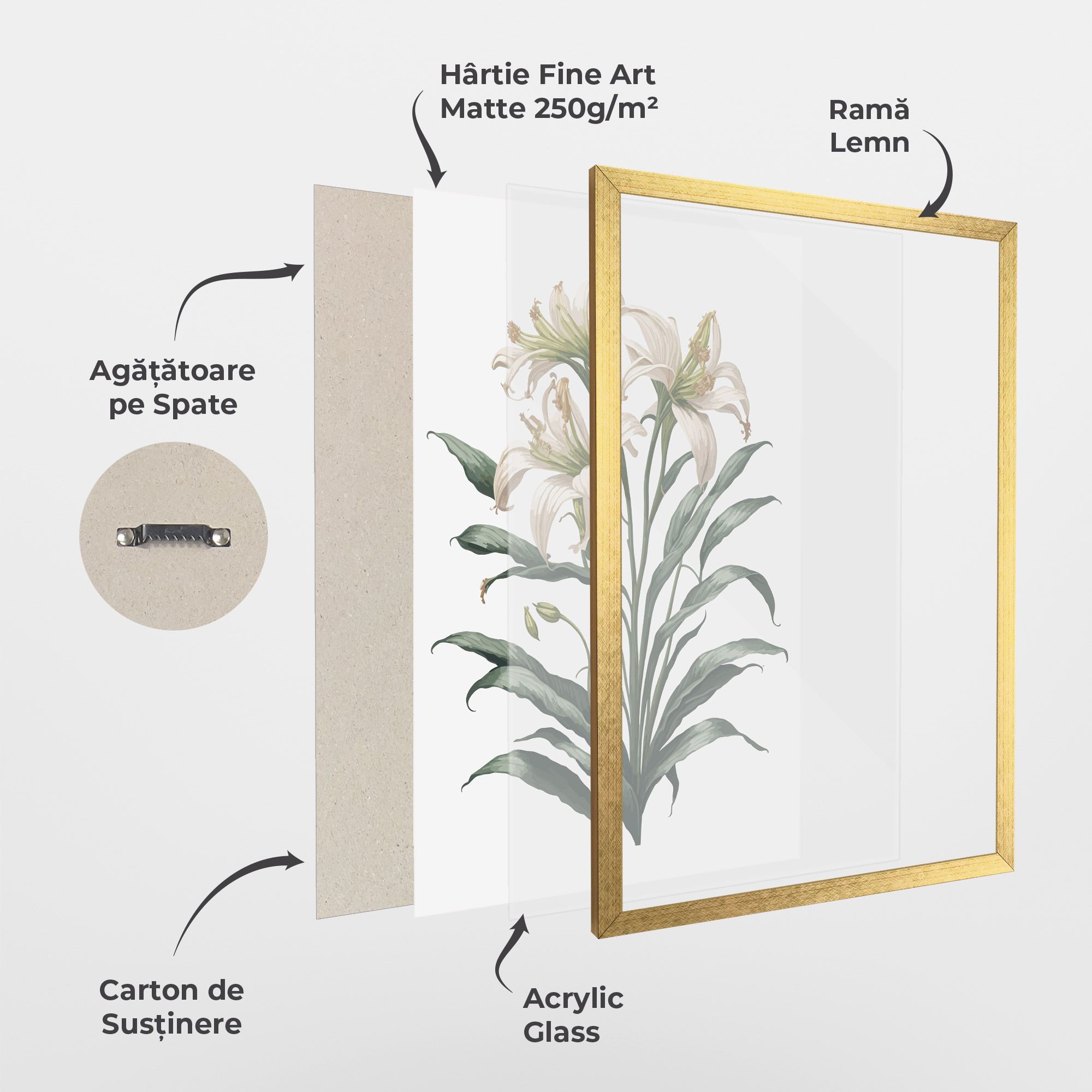 Columbia Lily mockup 1