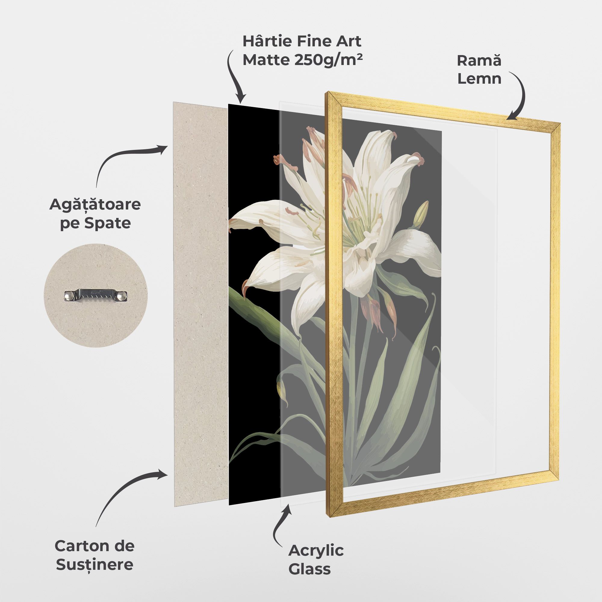 Columbia White Lily mockup 1