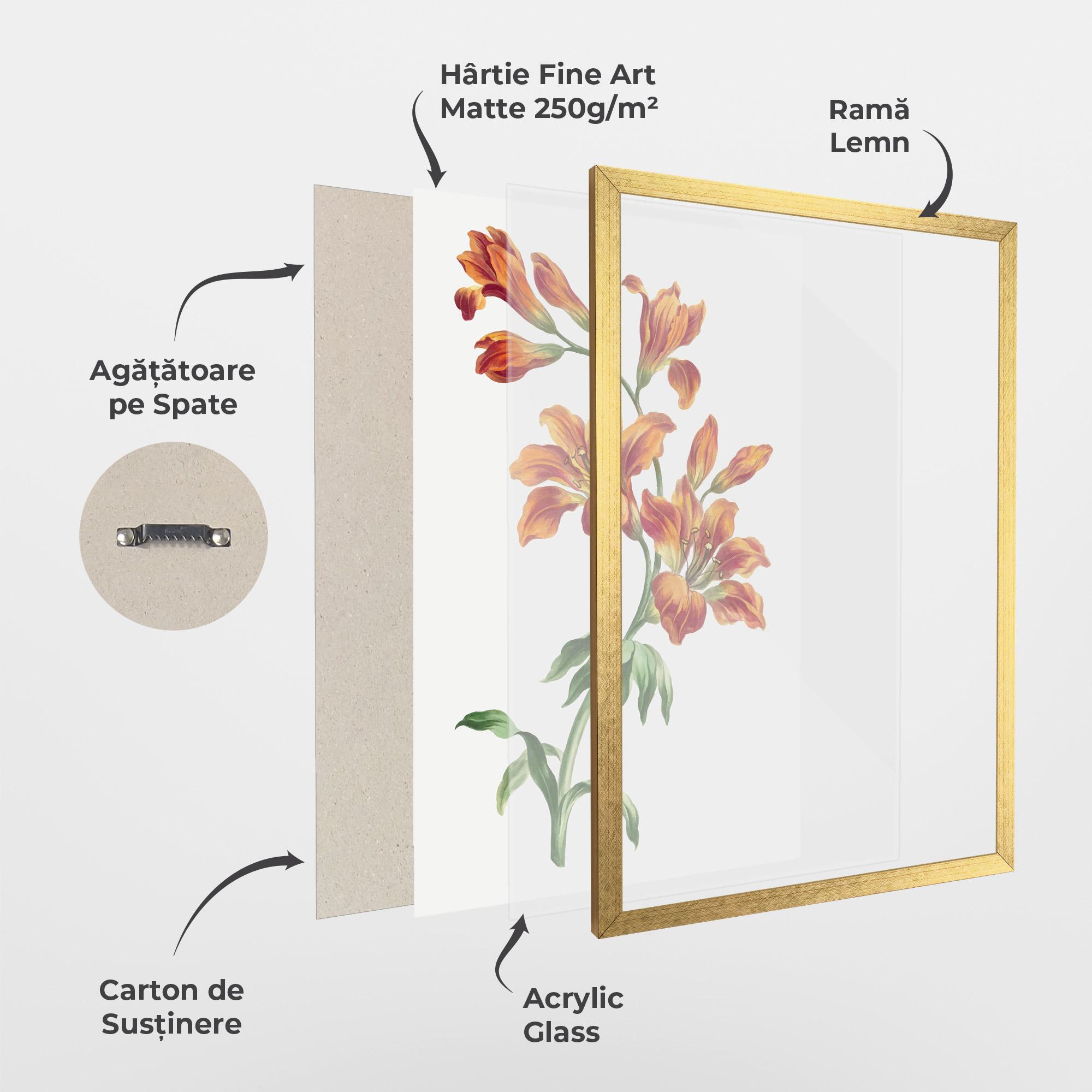 Poster Înrămat Orange Painted Lily mockup 1