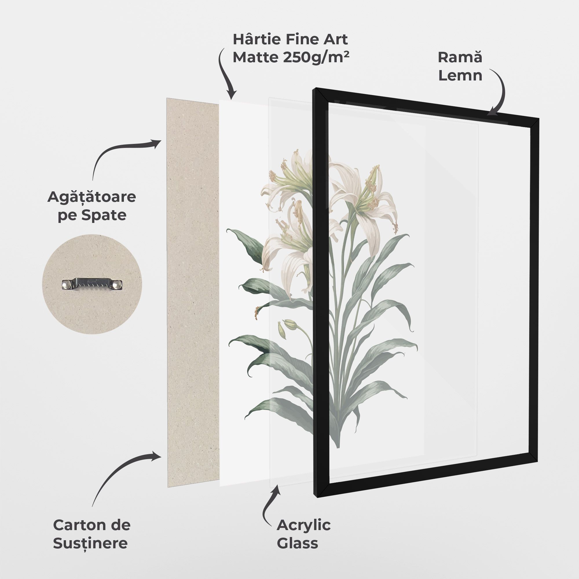 Columbia Lily mockup 1