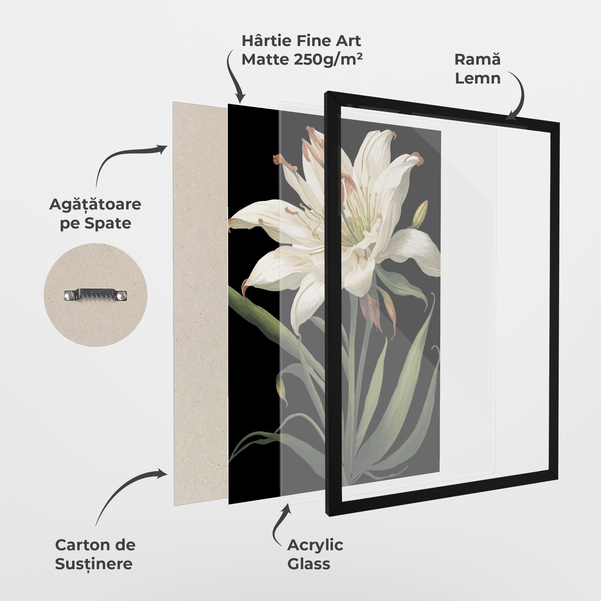 Poster Înrămat Columbia White Lily mockup 1