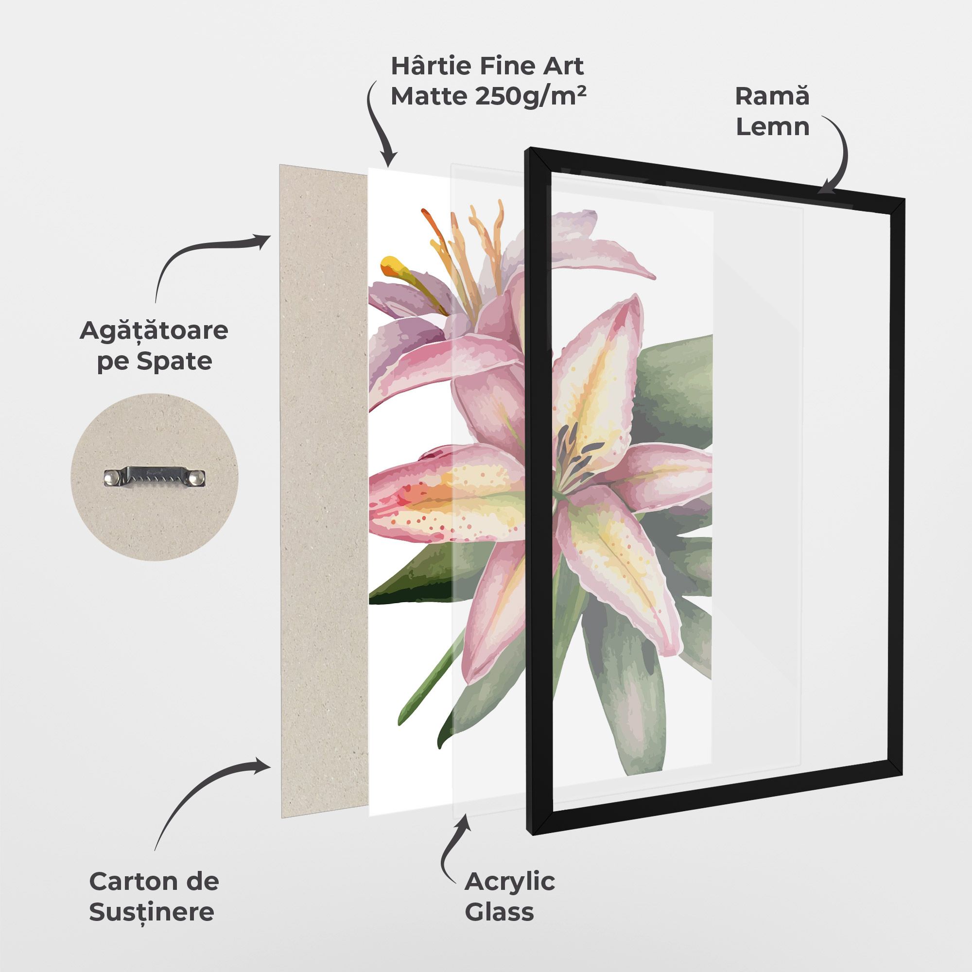 Lily Pretty Pink mockup 1