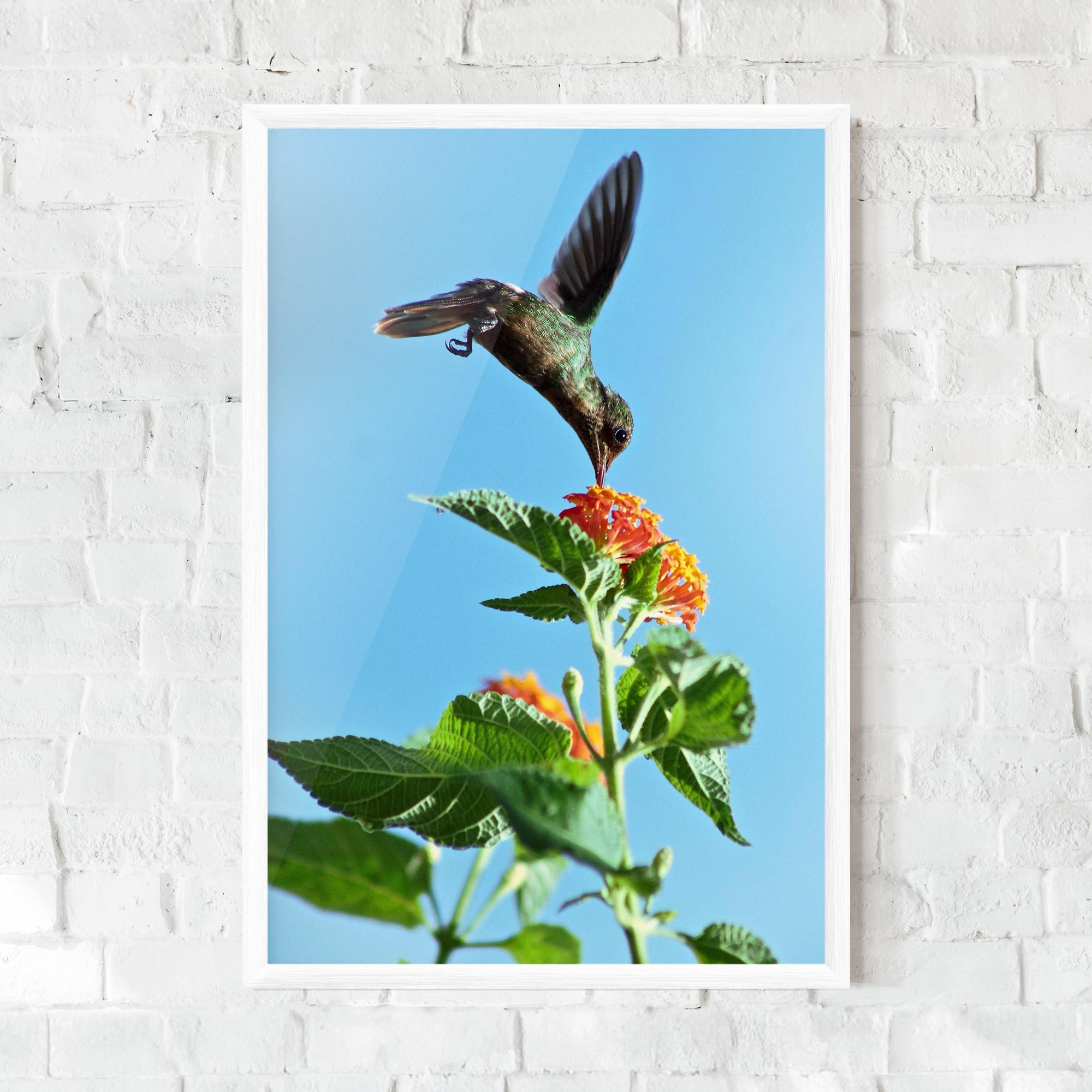 Poster Înrămat Bird Exotic Flower mockup 0