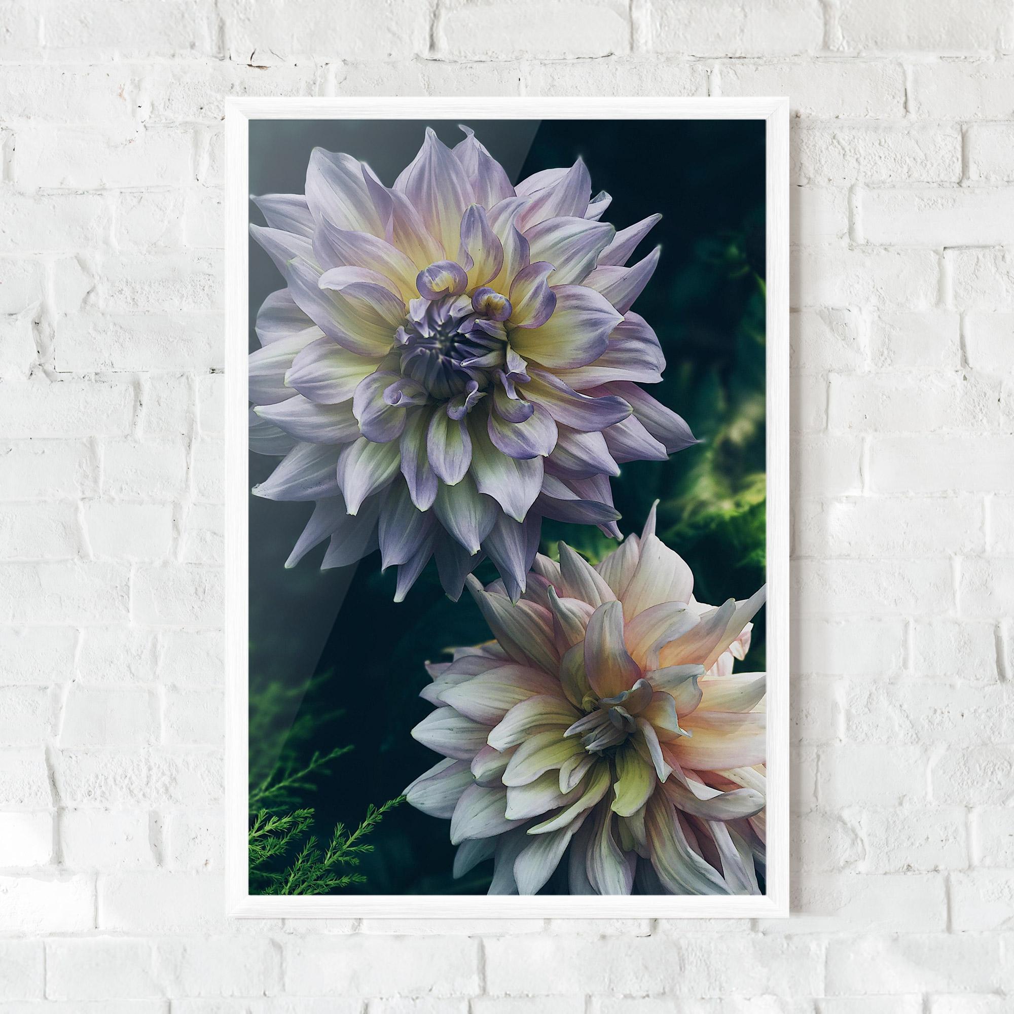Poster Înrămat Dahlia Flowers mockup 0