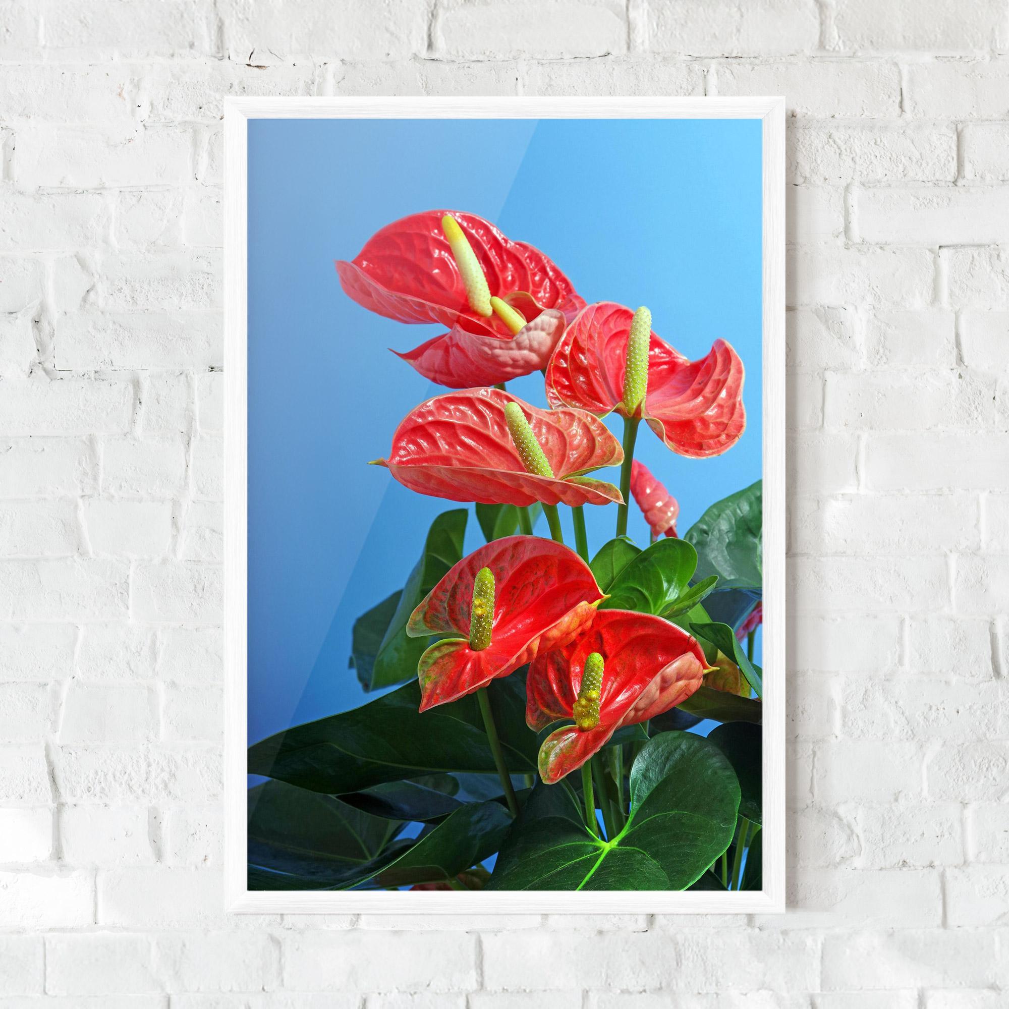 Poster Înrămat Red Green Exotic mockup 0