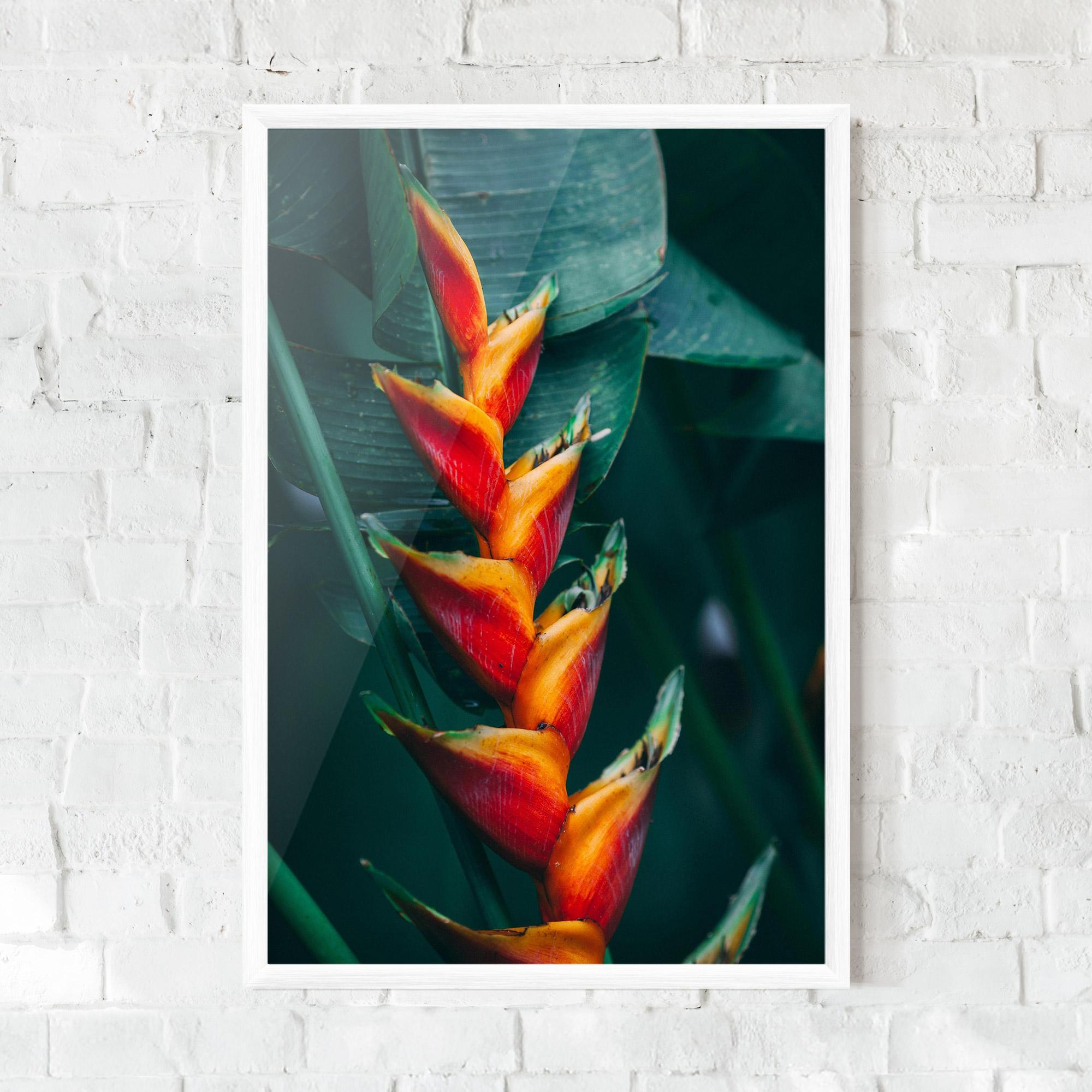 Poster Înrămat Red Orange Exotic mockup 0