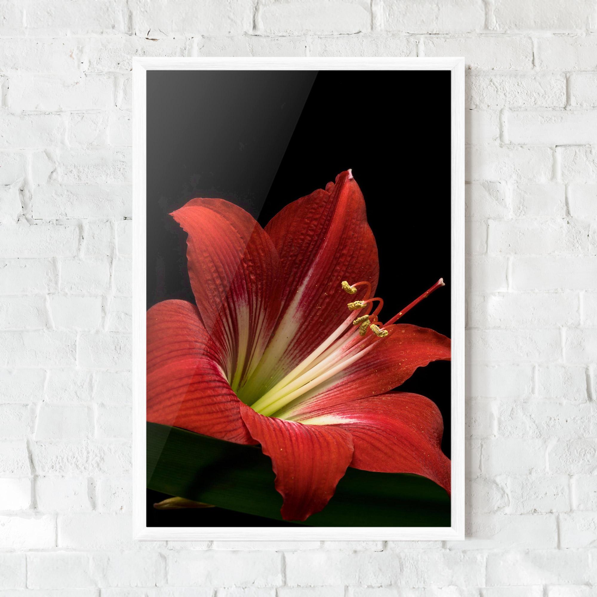 Poster Înrămat Red Yellow Exotic mockup 0