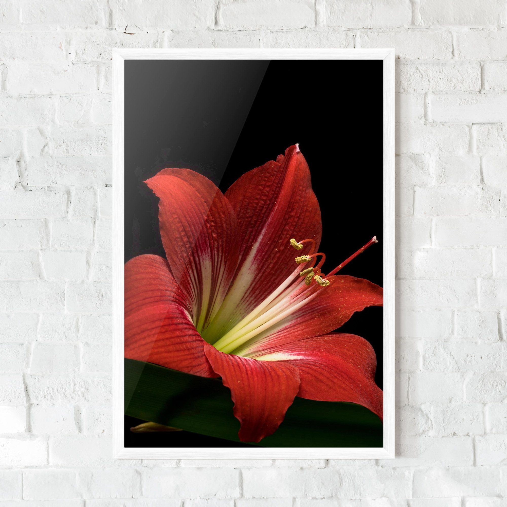 Red Yellow Exotic mockup 0