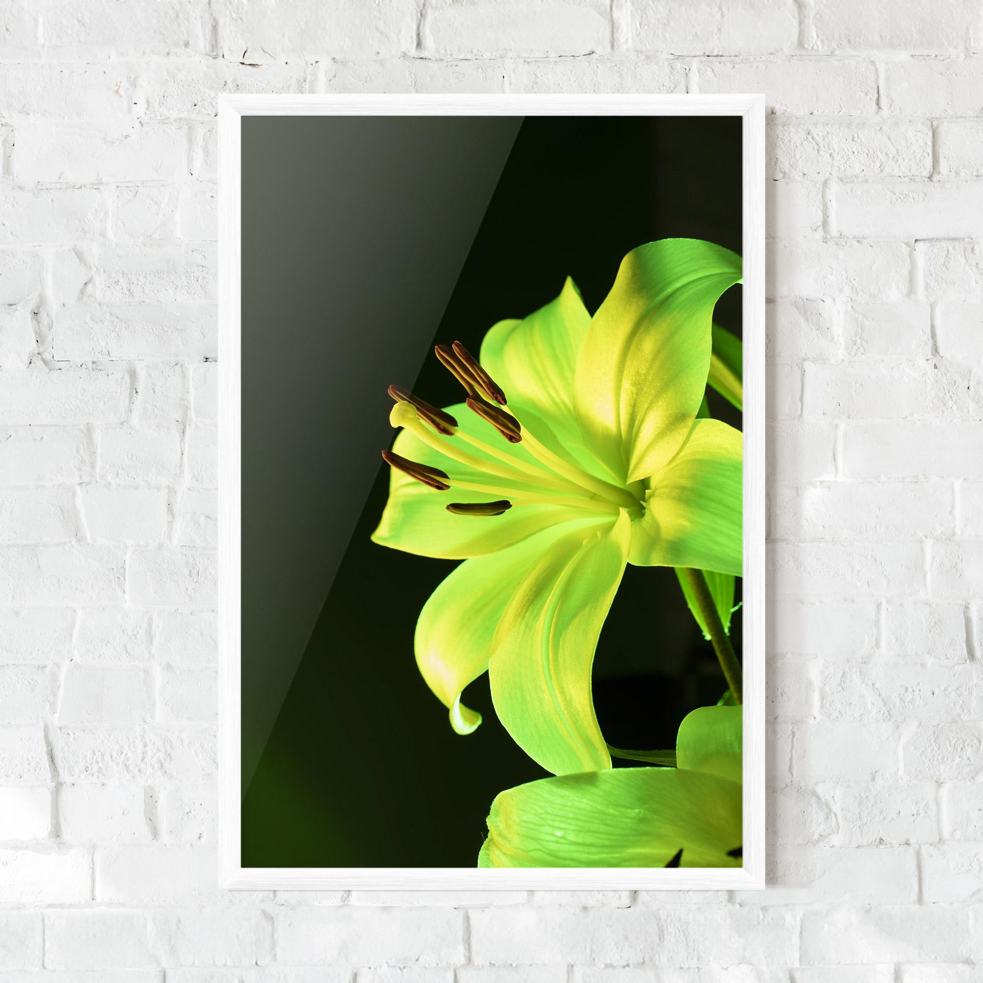 Poster Înrămat Yellow Green Exotic mockup 0