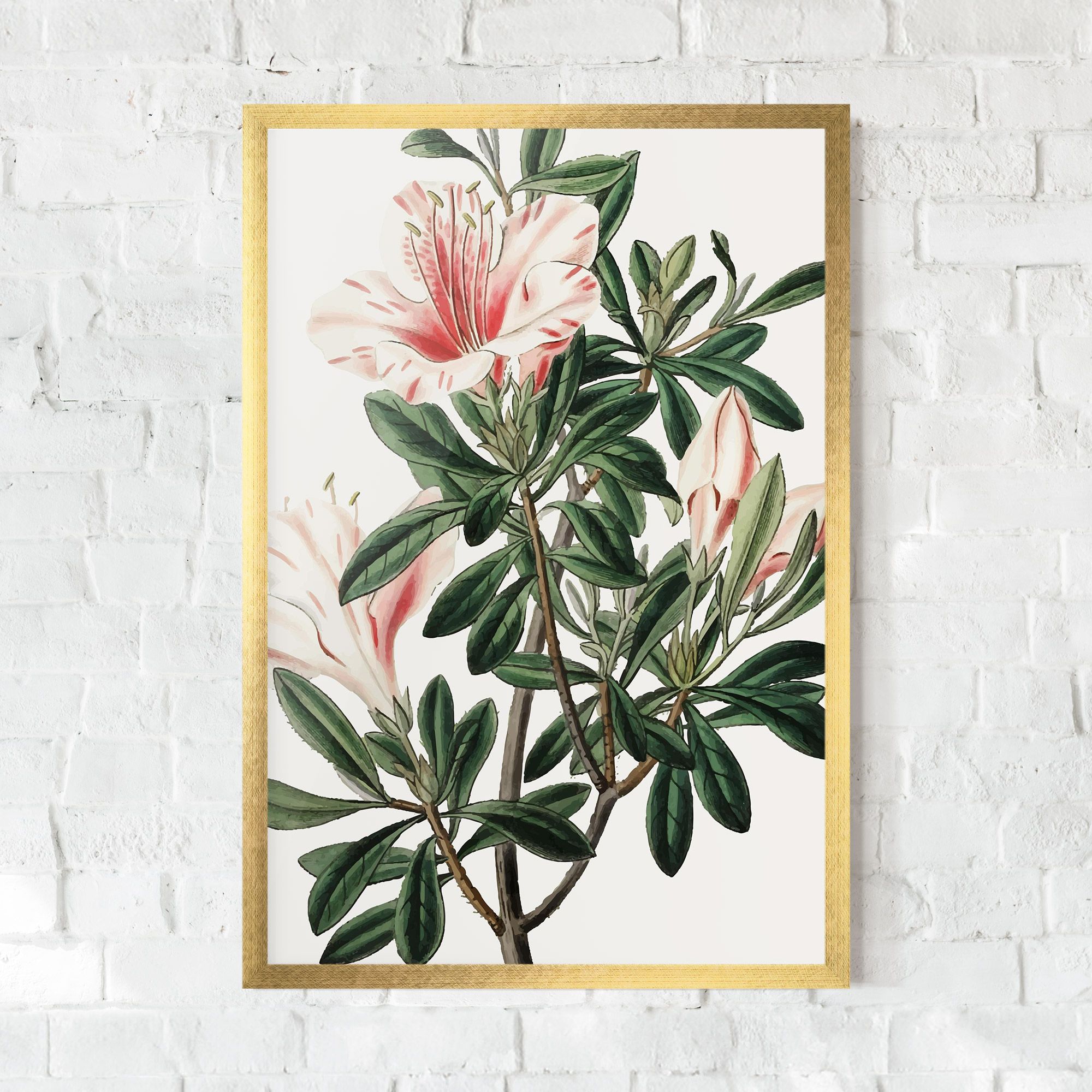 Exotic White Red mockup 0