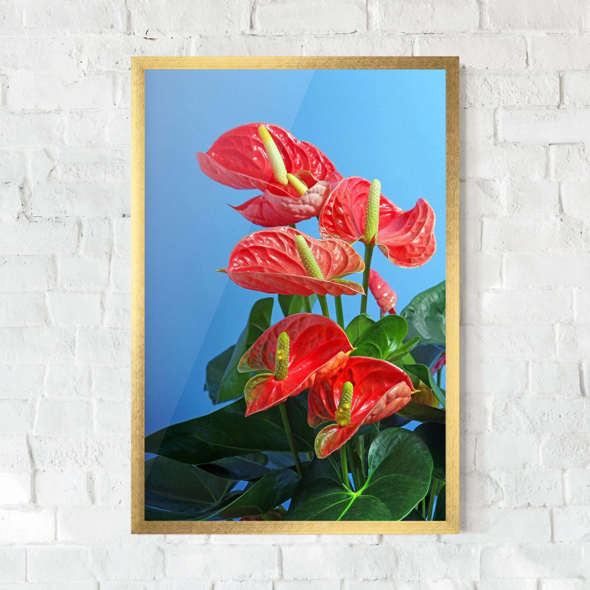 Poster Înrămat Red Green Exotic mockup 0