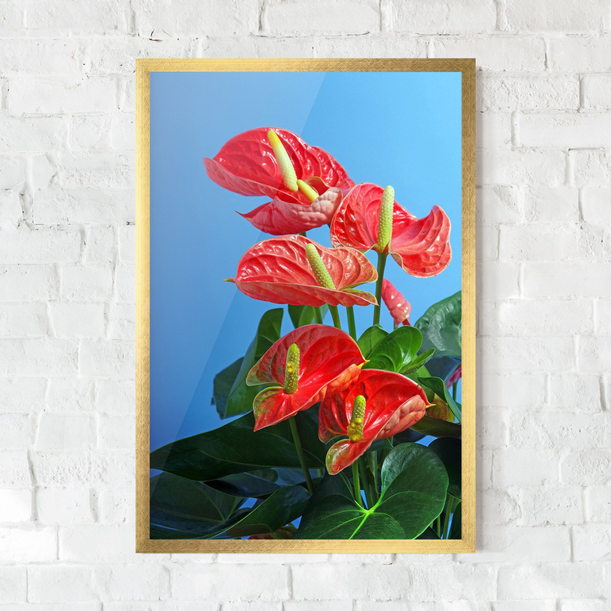 Red Green Exotic mockup 0