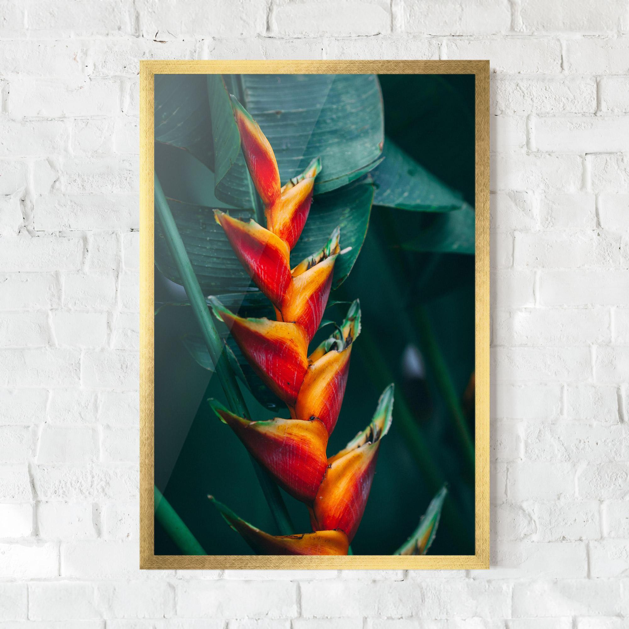 Poster Înrămat Red Orange Exotic mockup 0