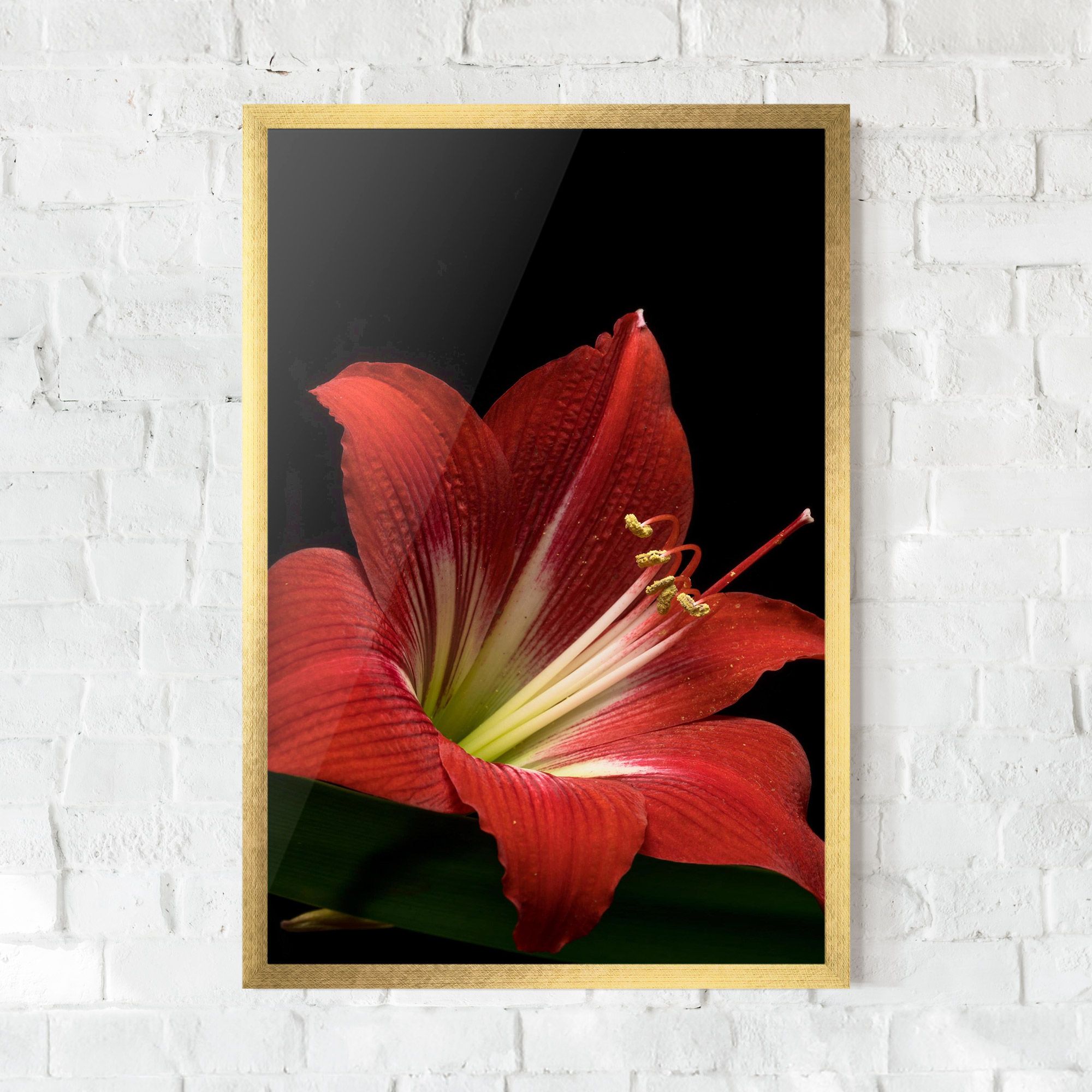 Red Yellow Exotic mockup 0