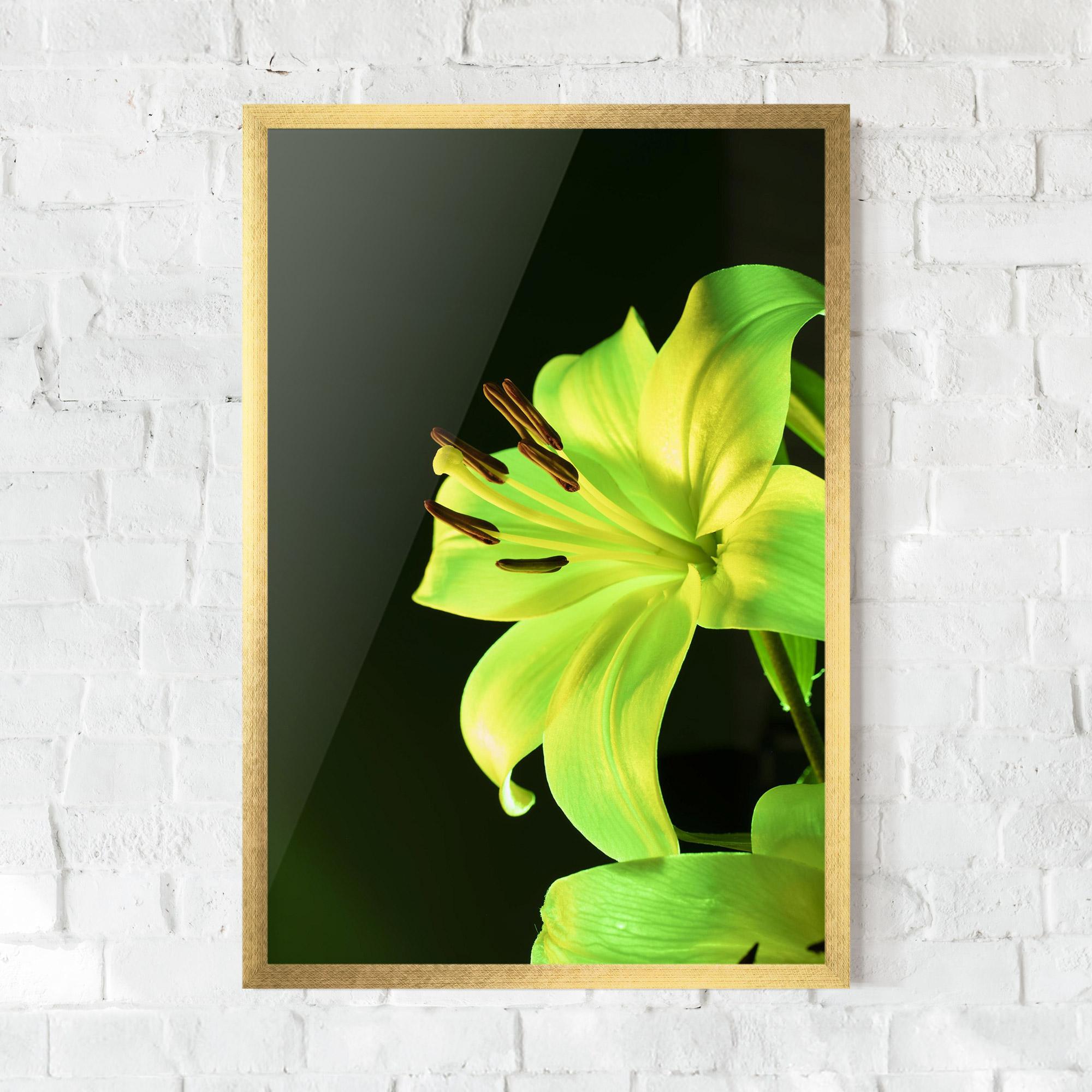 Poster Înrămat Yellow Green Exotic mockup 0