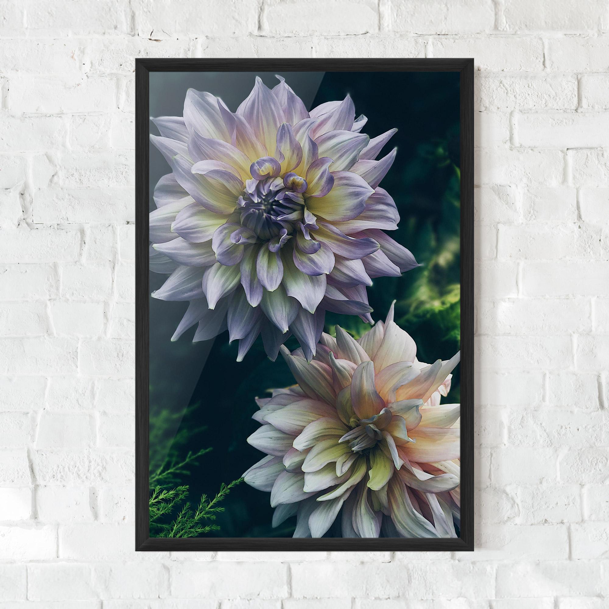 Poster Înrămat Dahlia Flowers mockup 0
