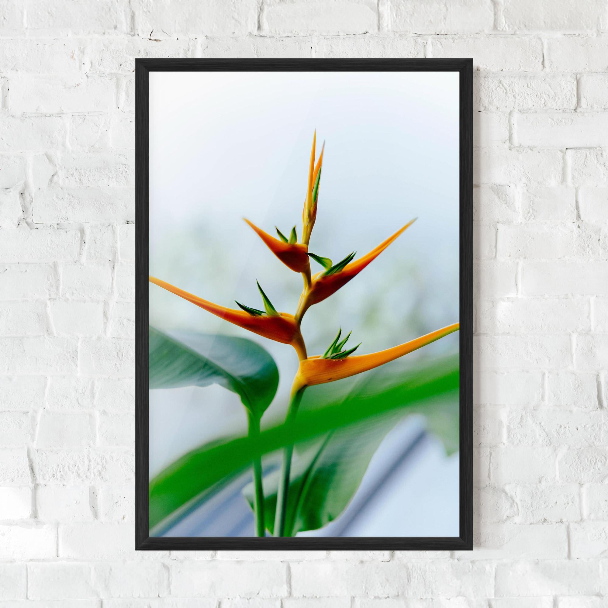 Poster Înrămat Exotic Orange Green mockup 0